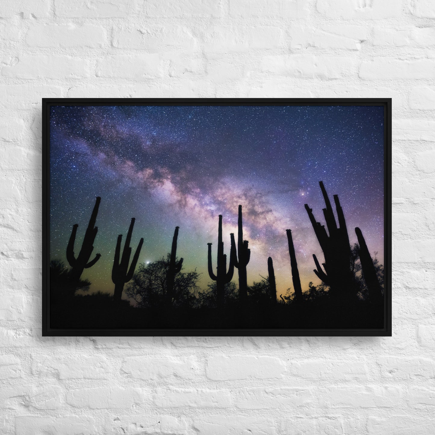 Saguaro Starlight by Sean Parker Photography | Framed canvas