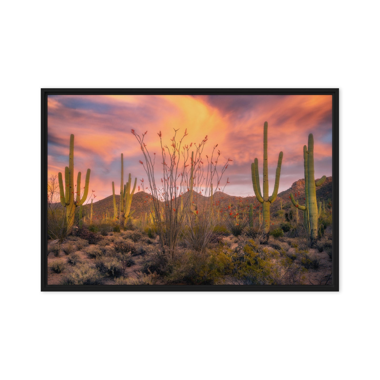 Tucson Mountain Park Sunset by Sean Parker Photography | Framed canvas