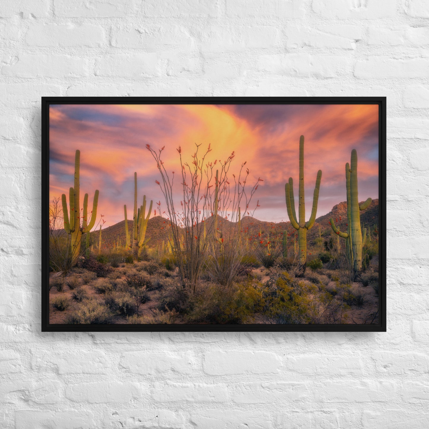 Tucson Mountain Park Sunset by Sean Parker Photography | Framed canvas