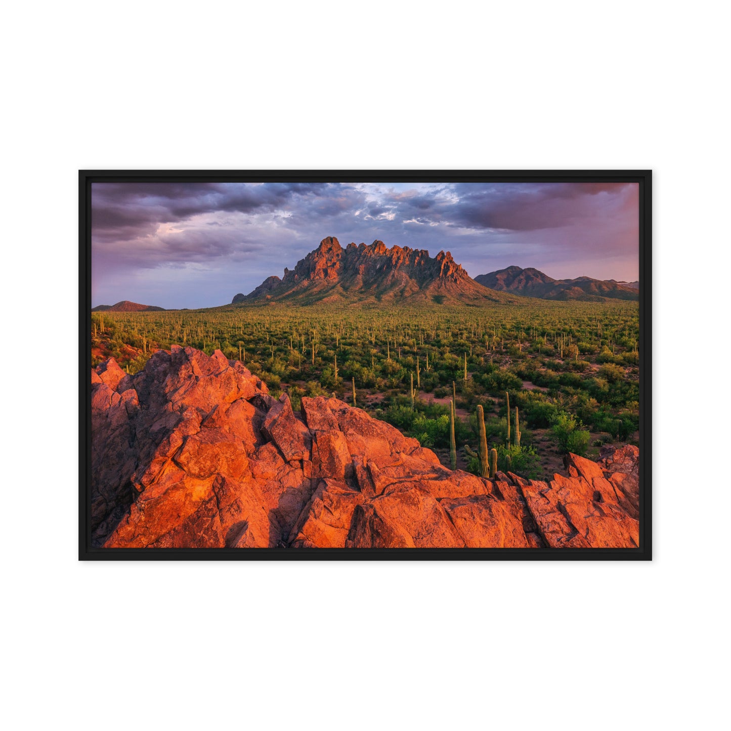 Ironwood National Monument by Sean Parker Photography | Framed canvas