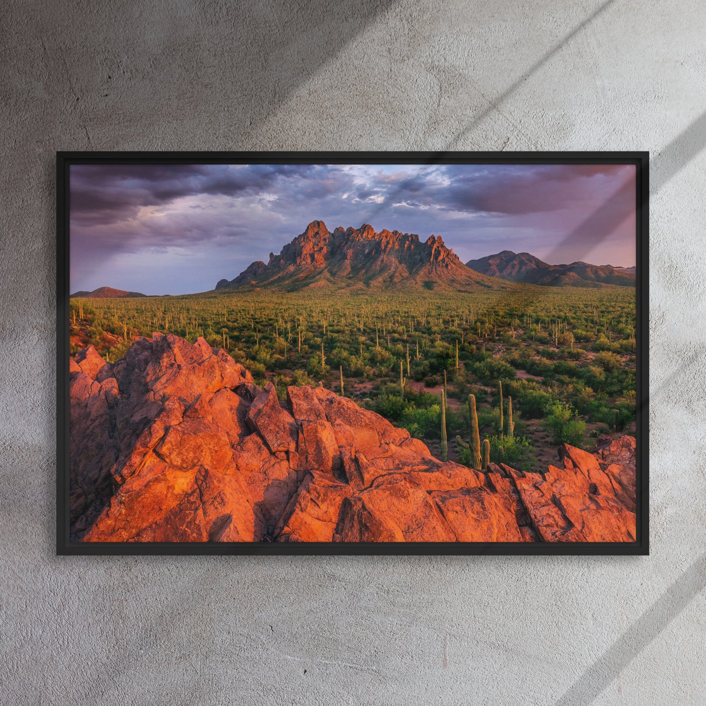 Ironwood National Monument by Sean Parker Photography | Framed canvas