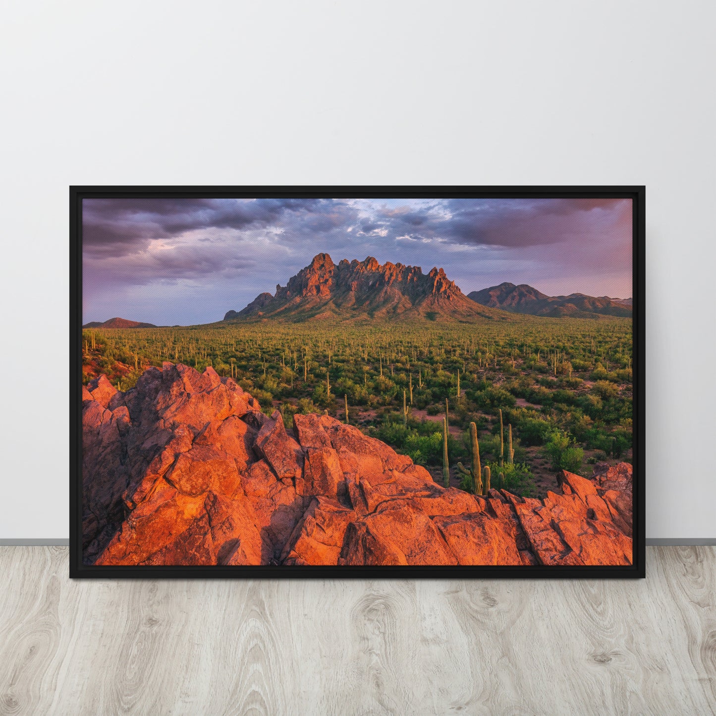 Ironwood National Monument by Sean Parker Photography | Framed canvas