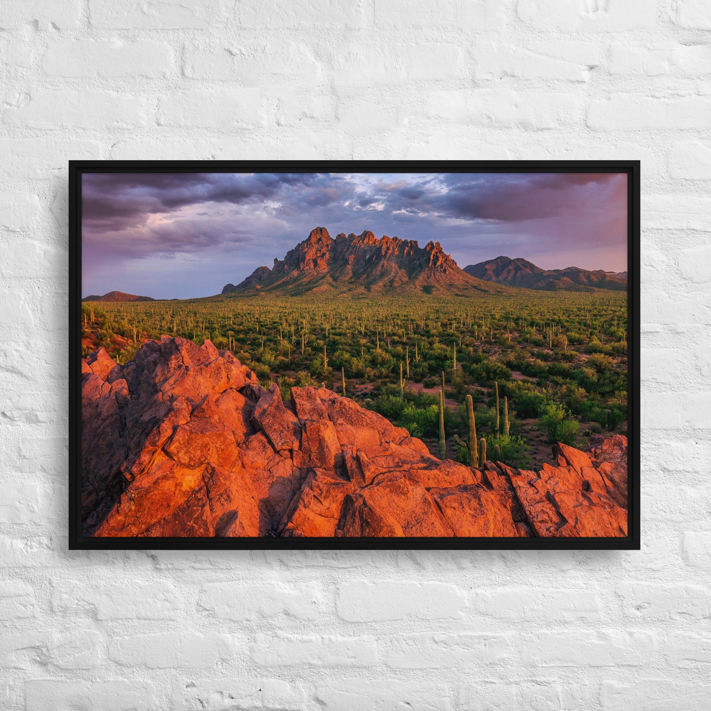 Ironwood National Monument by Sean Parker Photography | Framed canvas