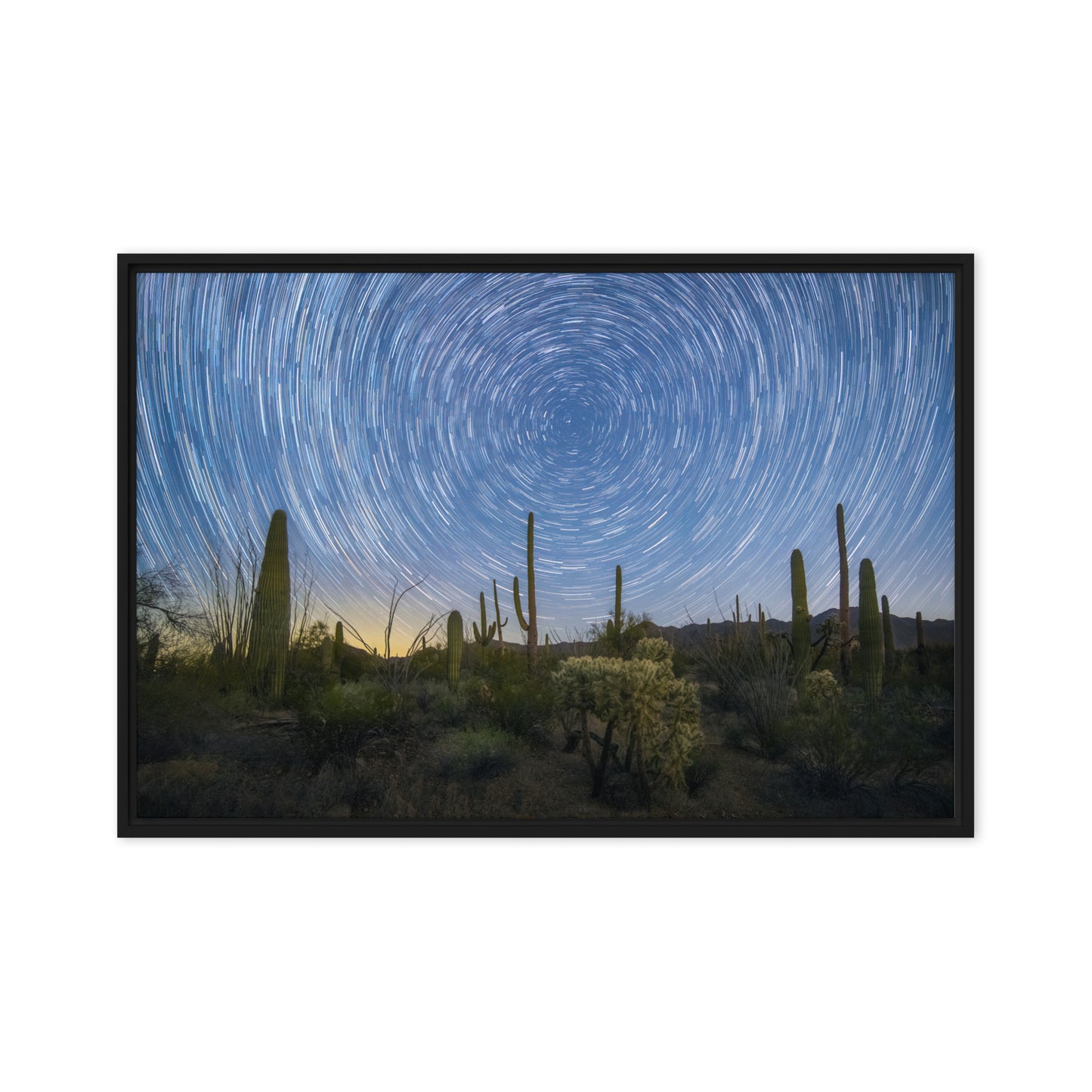 Sonoran Startails by Sean Parker Photography | Framed canvas