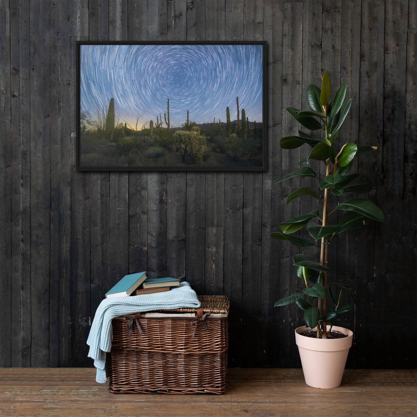 Sonoran Startails by Sean Parker Photography | Framed canvas