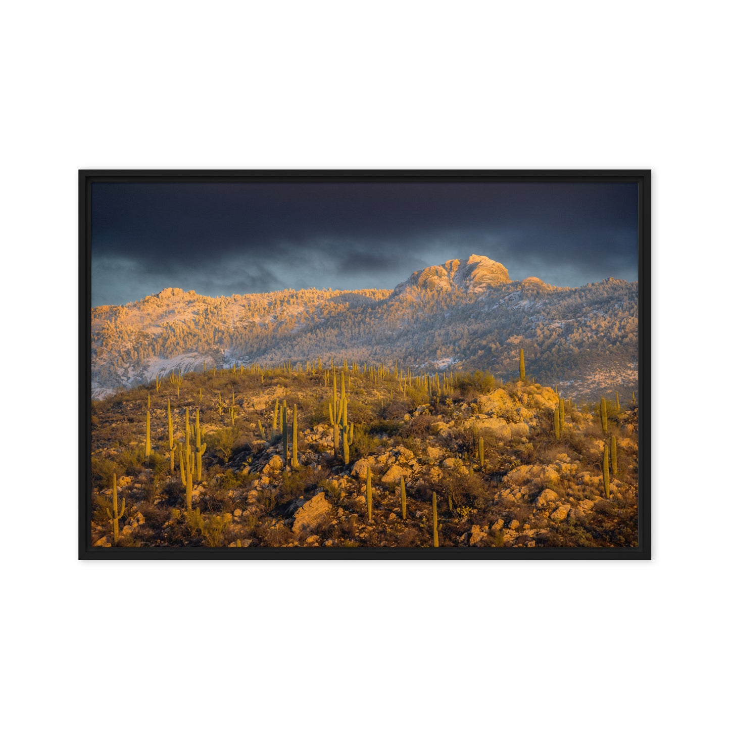 Rincon Mountain Snow by Sean Parker Photography | Framed canvas