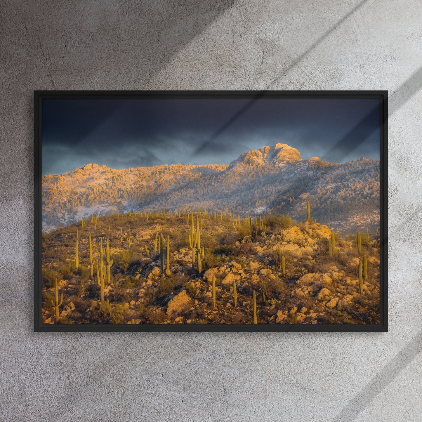 Rincon Mountain Snow by Sean Parker Photography | Framed canvas