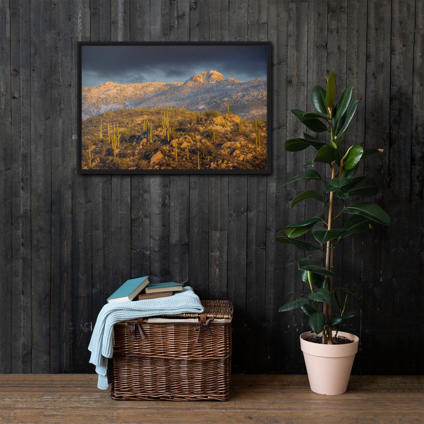 Rincon Mountain Snow by Sean Parker Photography | Framed canvas