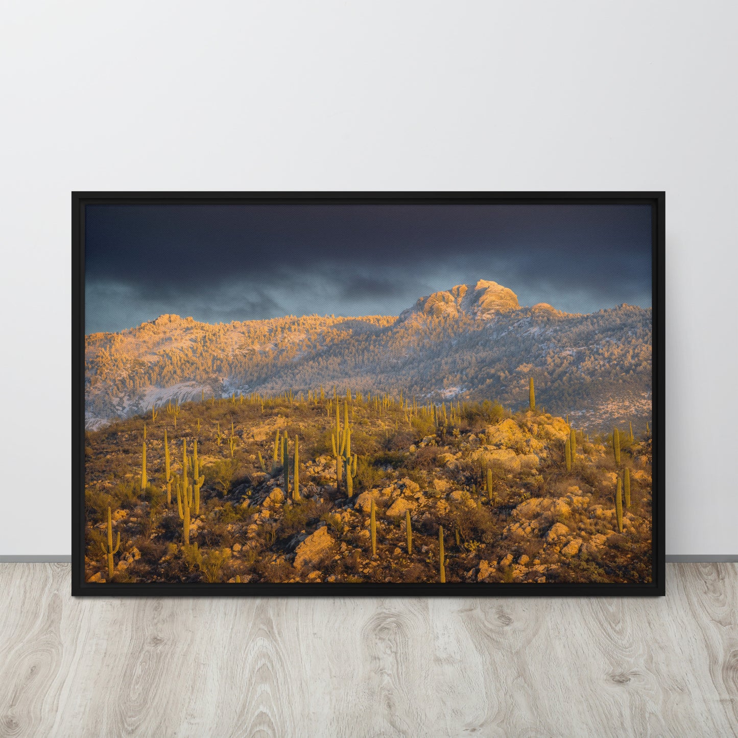 Rincon Mountain Snow by Sean Parker Photography | Framed canvas