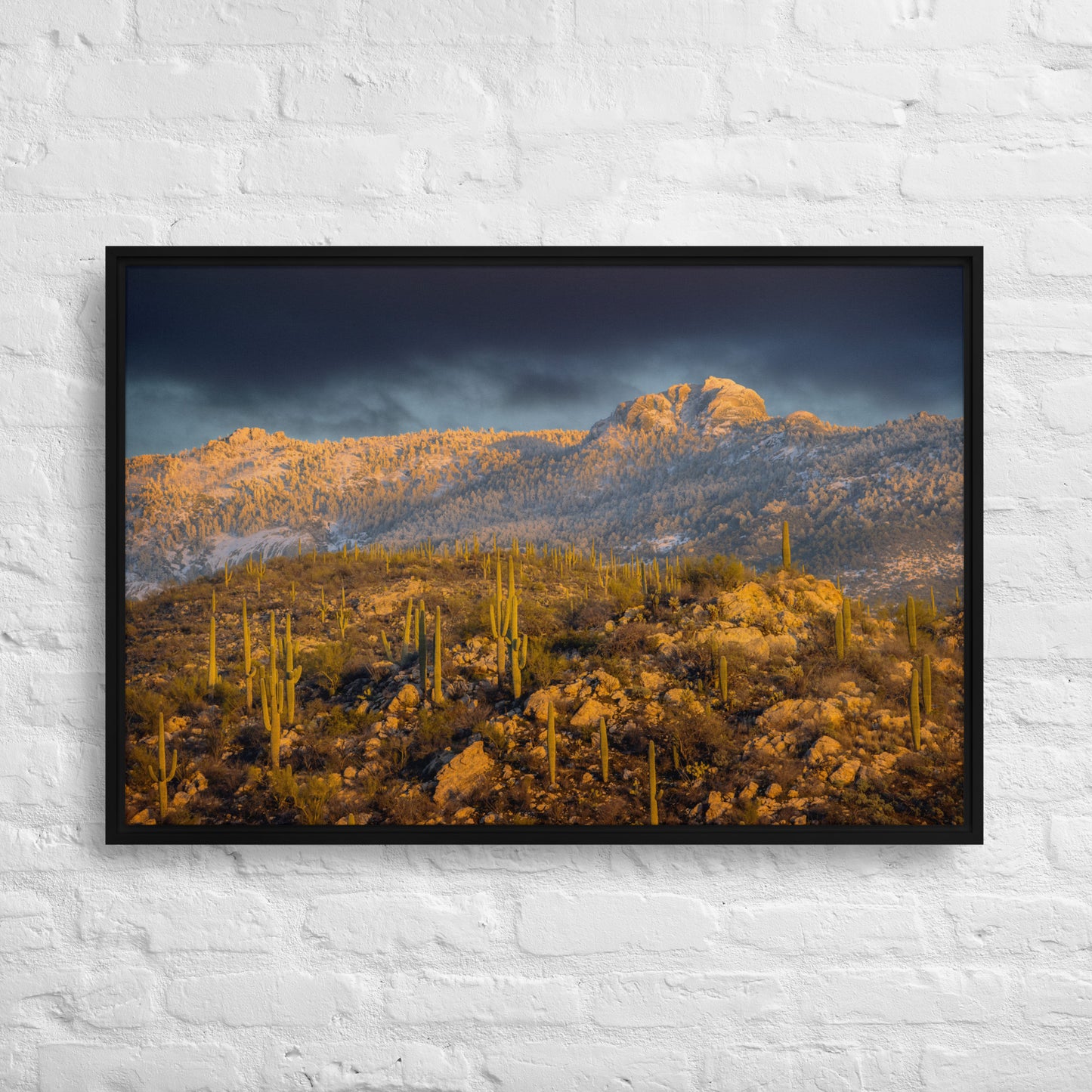 Rincon Mountain Snow by Sean Parker Photography | Framed canvas