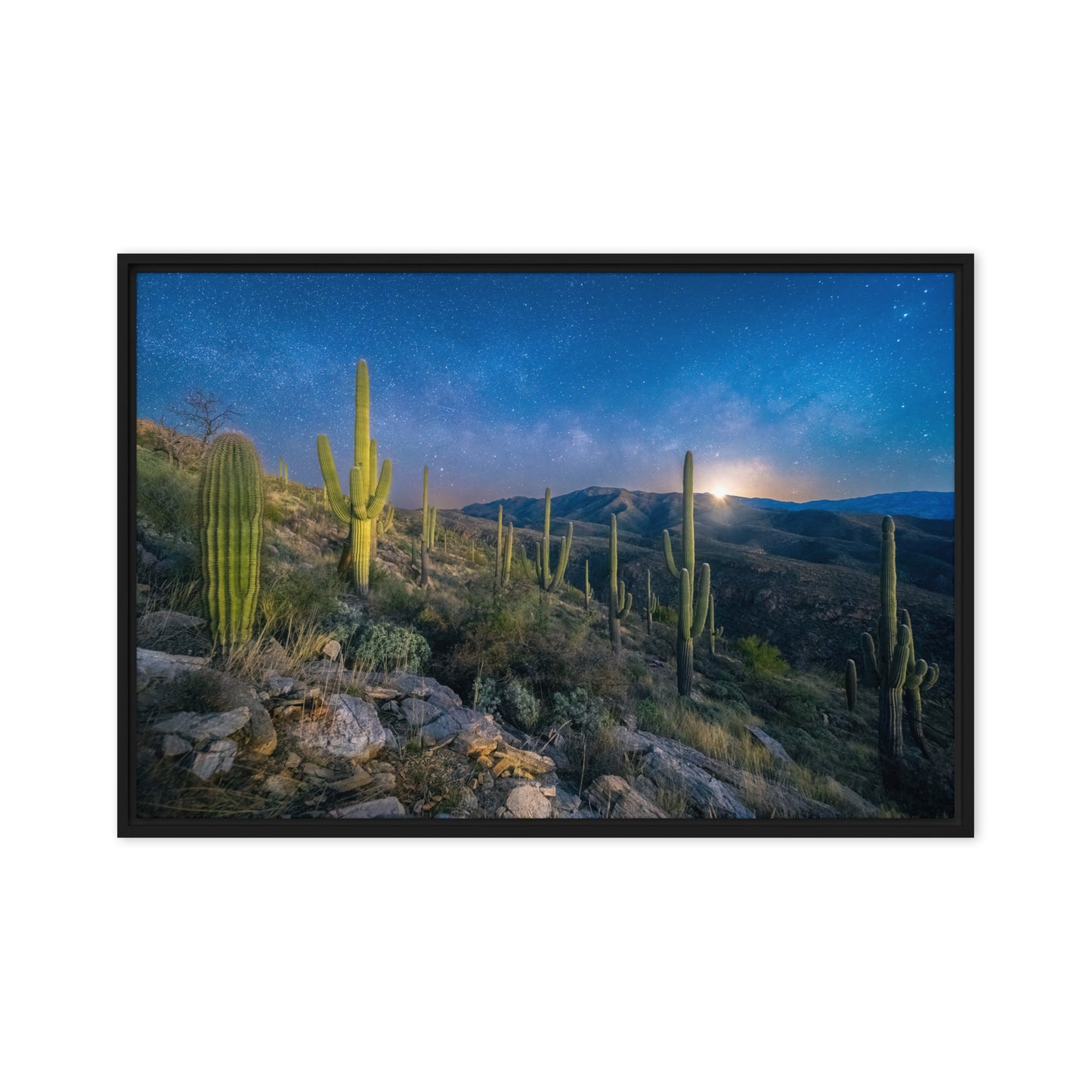 Morning Milkyway by Sean Parker Photography | Framed canvas