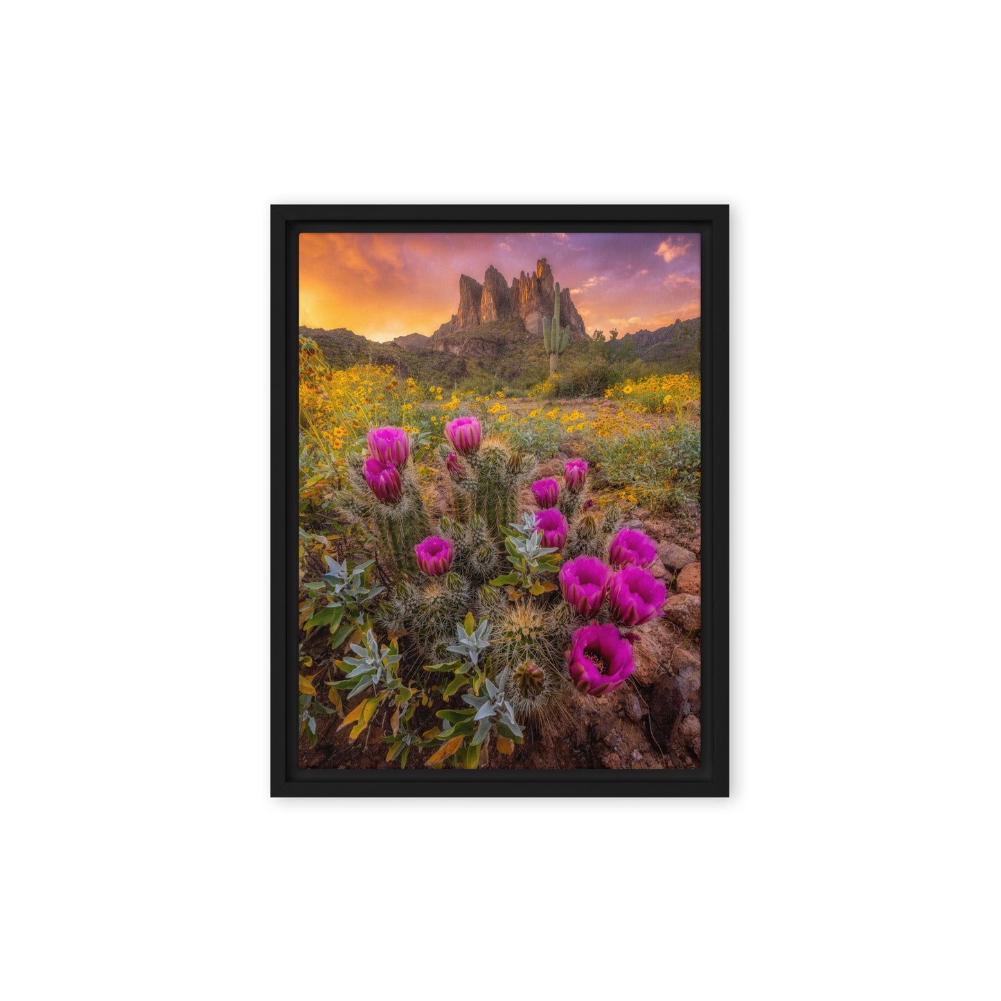 Sonoran Bloom by Sean Parker Photography | Framed canvas