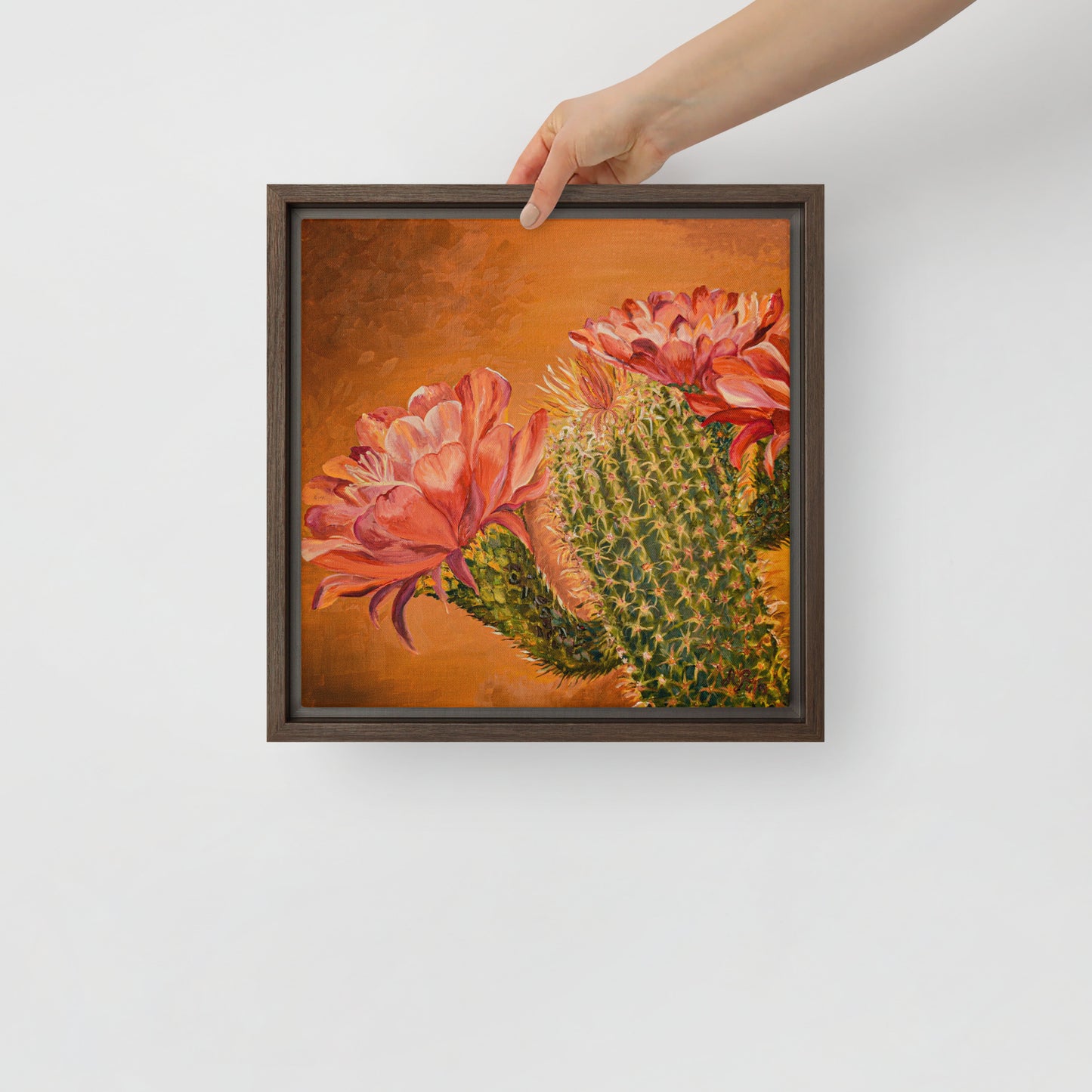 Tucson’s Spring | Framed Canvas Print