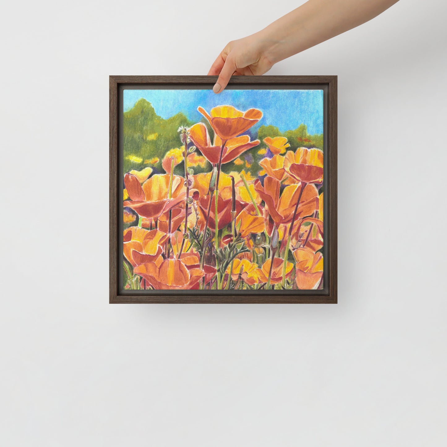 Roadside Poppies by Amber Pierson | Framed canvas