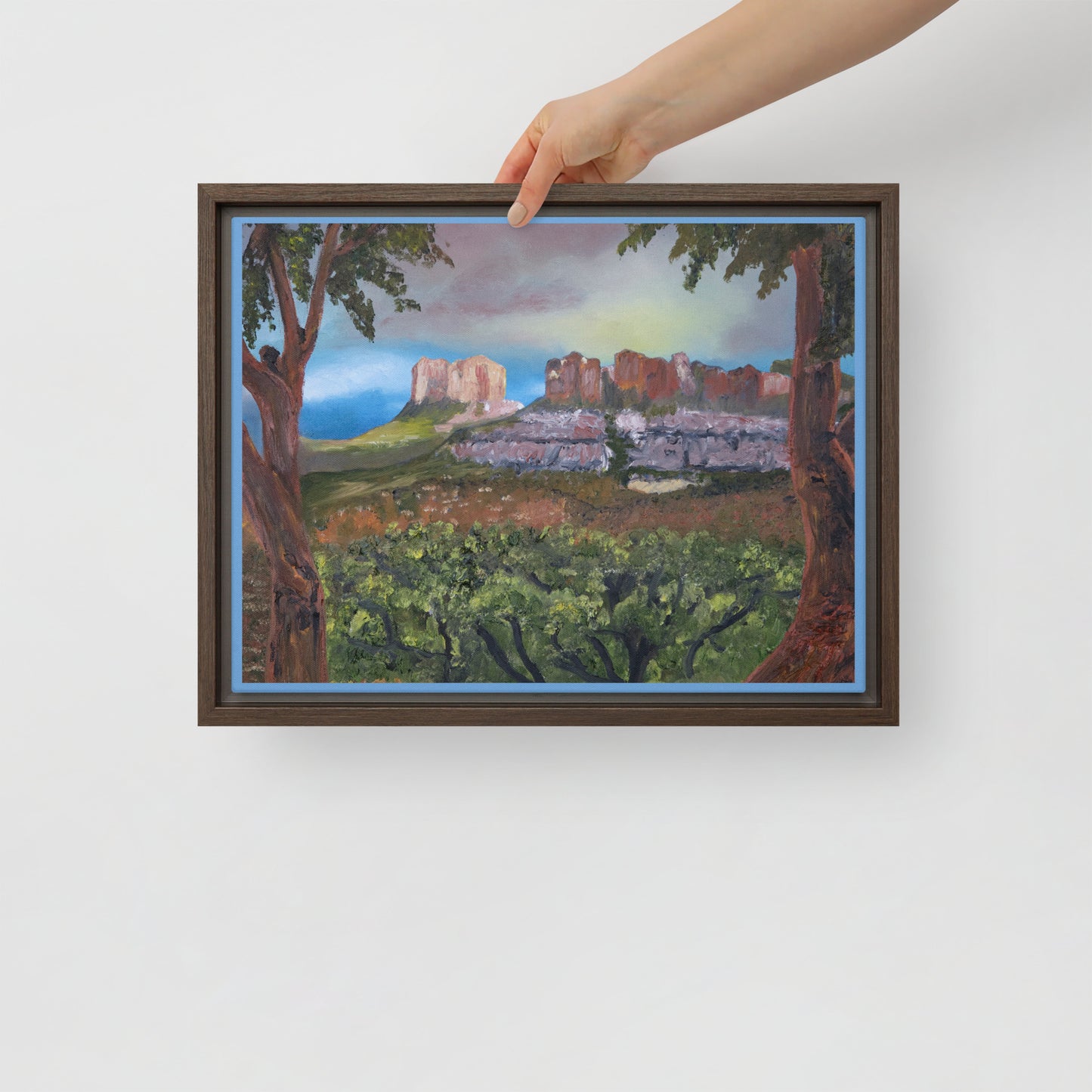 Sedona by Steven Bye | Framed canvas