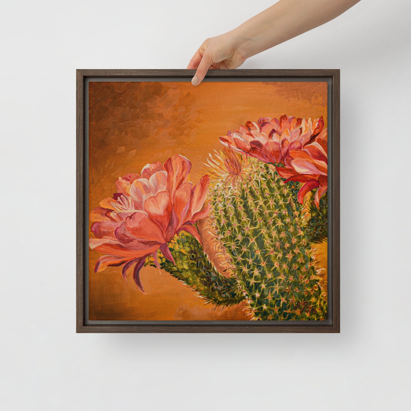 Tucson’s Spring | Framed Canvas Print