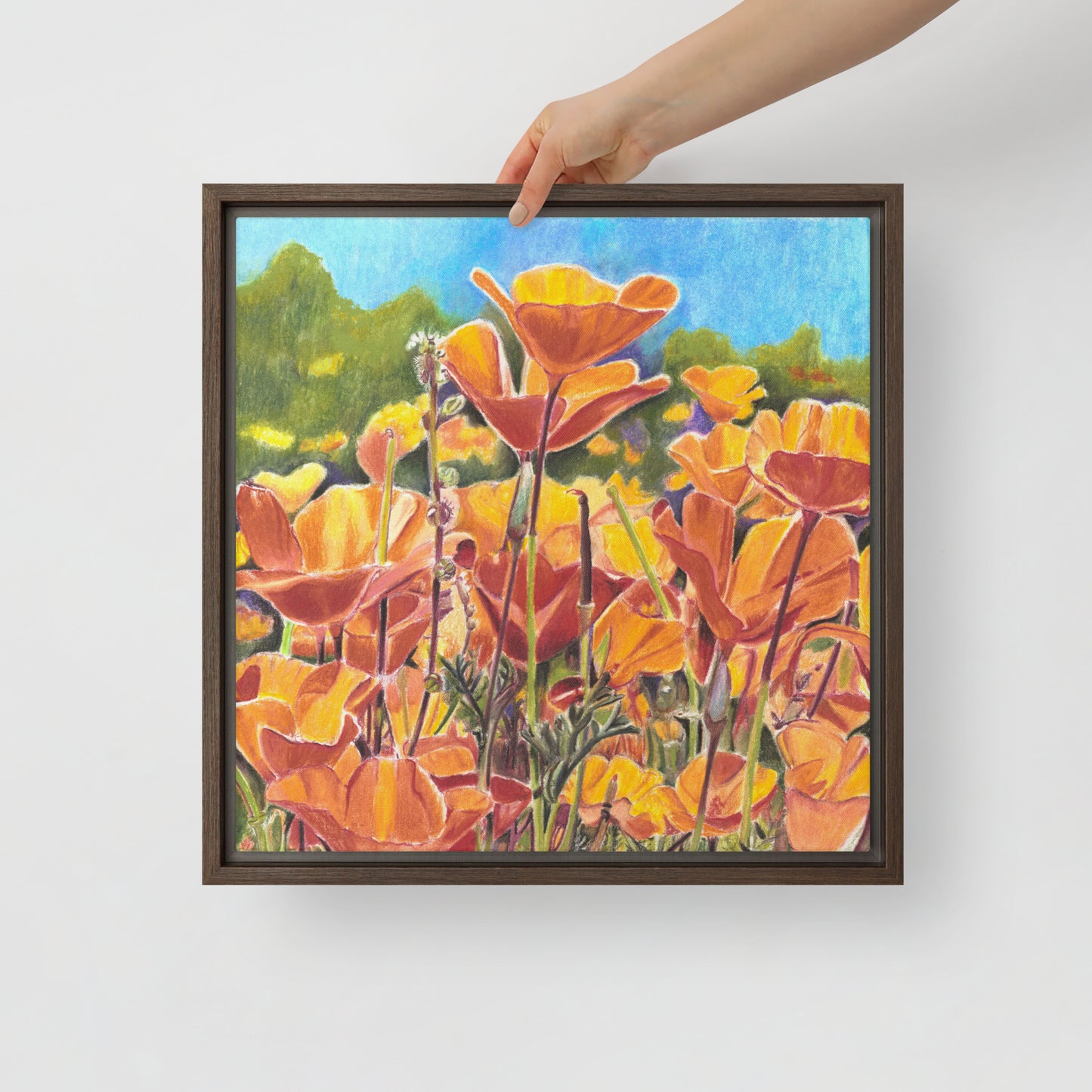 Roadside Poppies by Amber Pierson | Framed canvas