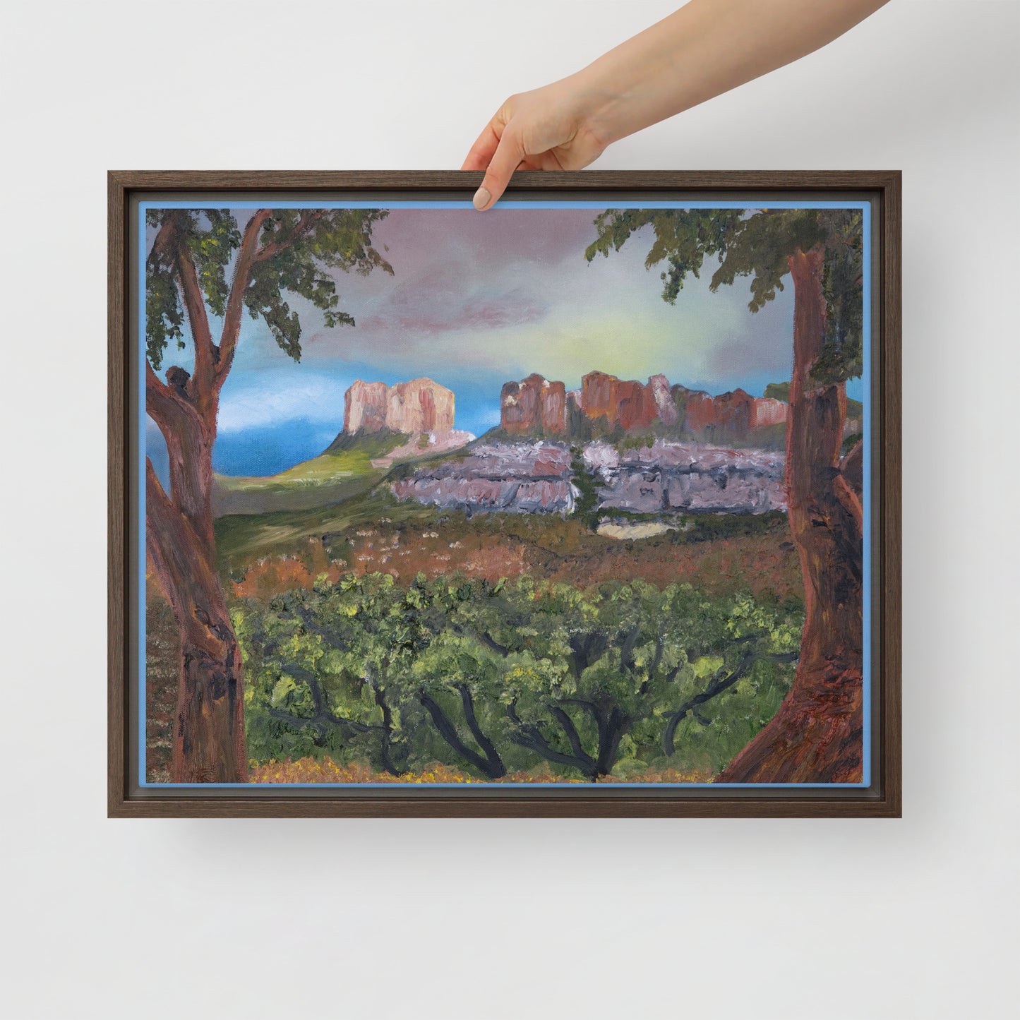 Sedona by Steven Bye | Framed canvas