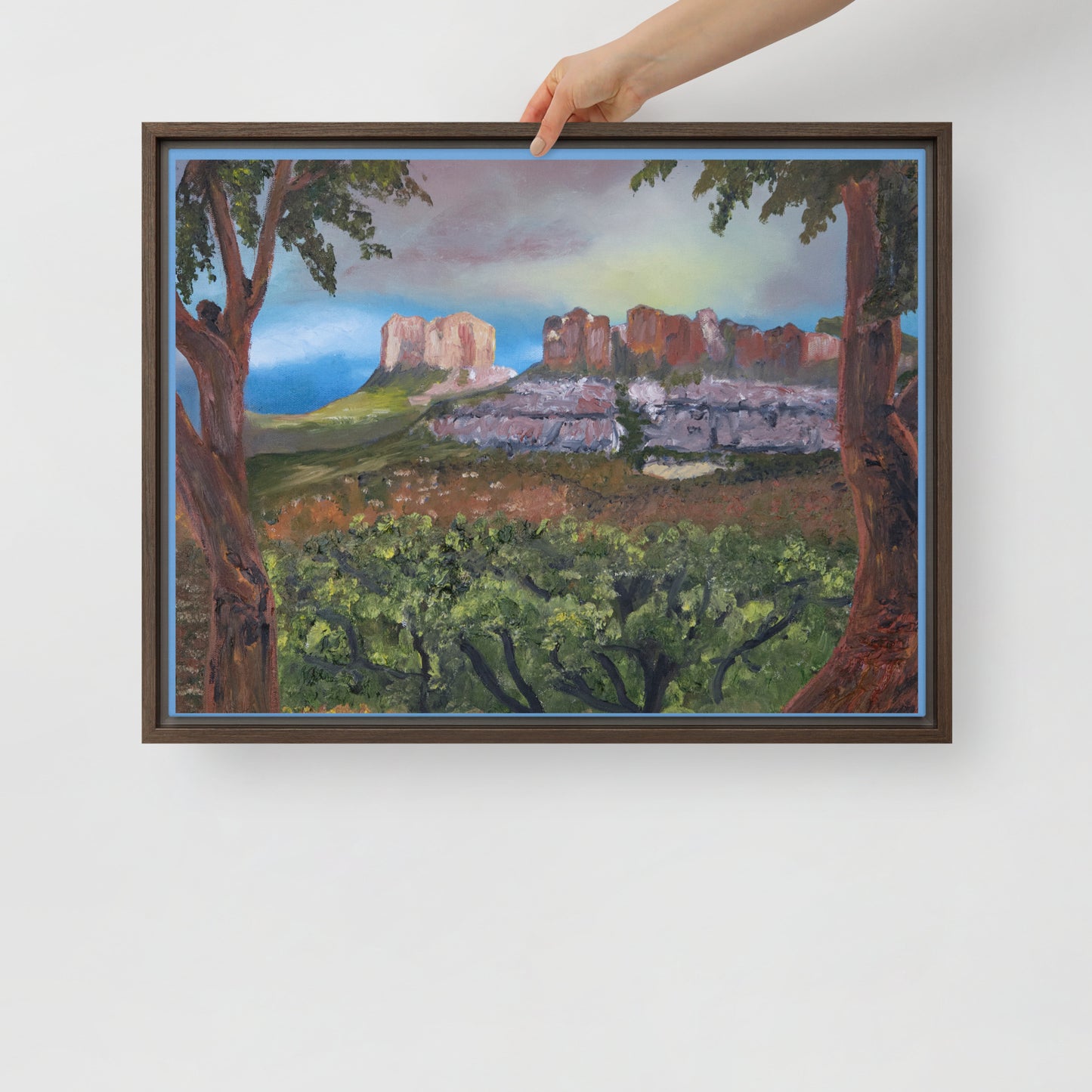 Sedona by Steven Bye | Framed canvas