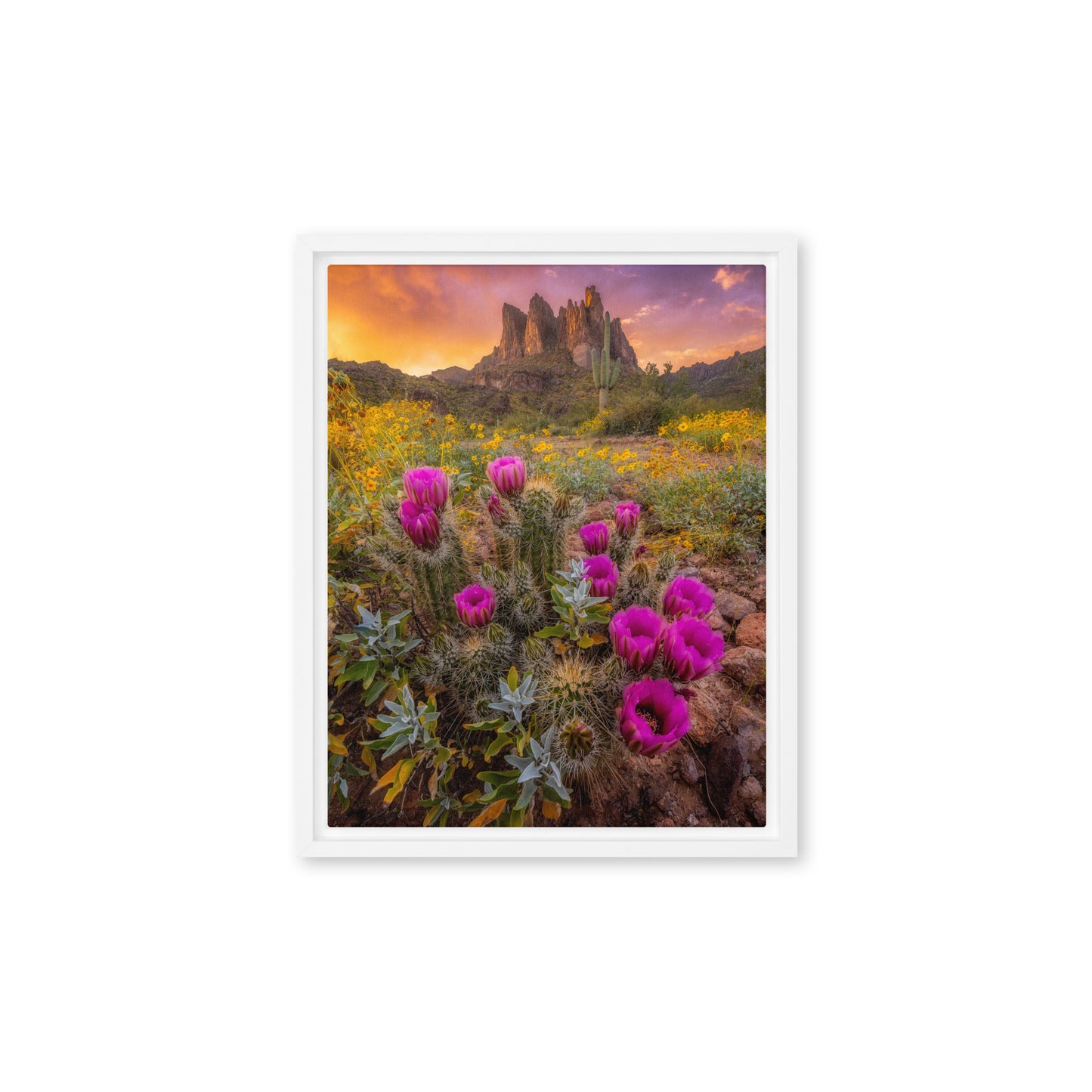 Sonoran Bloom by Sean Parker Photography | Framed canvas