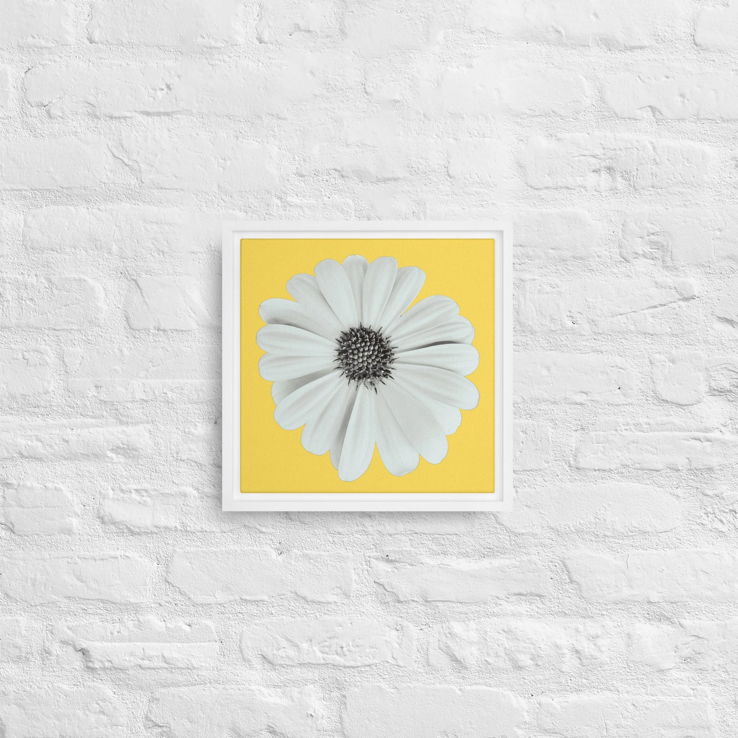 Loves Me Loves Me Not by Enrique Aldana - Yellow | Framed canvas