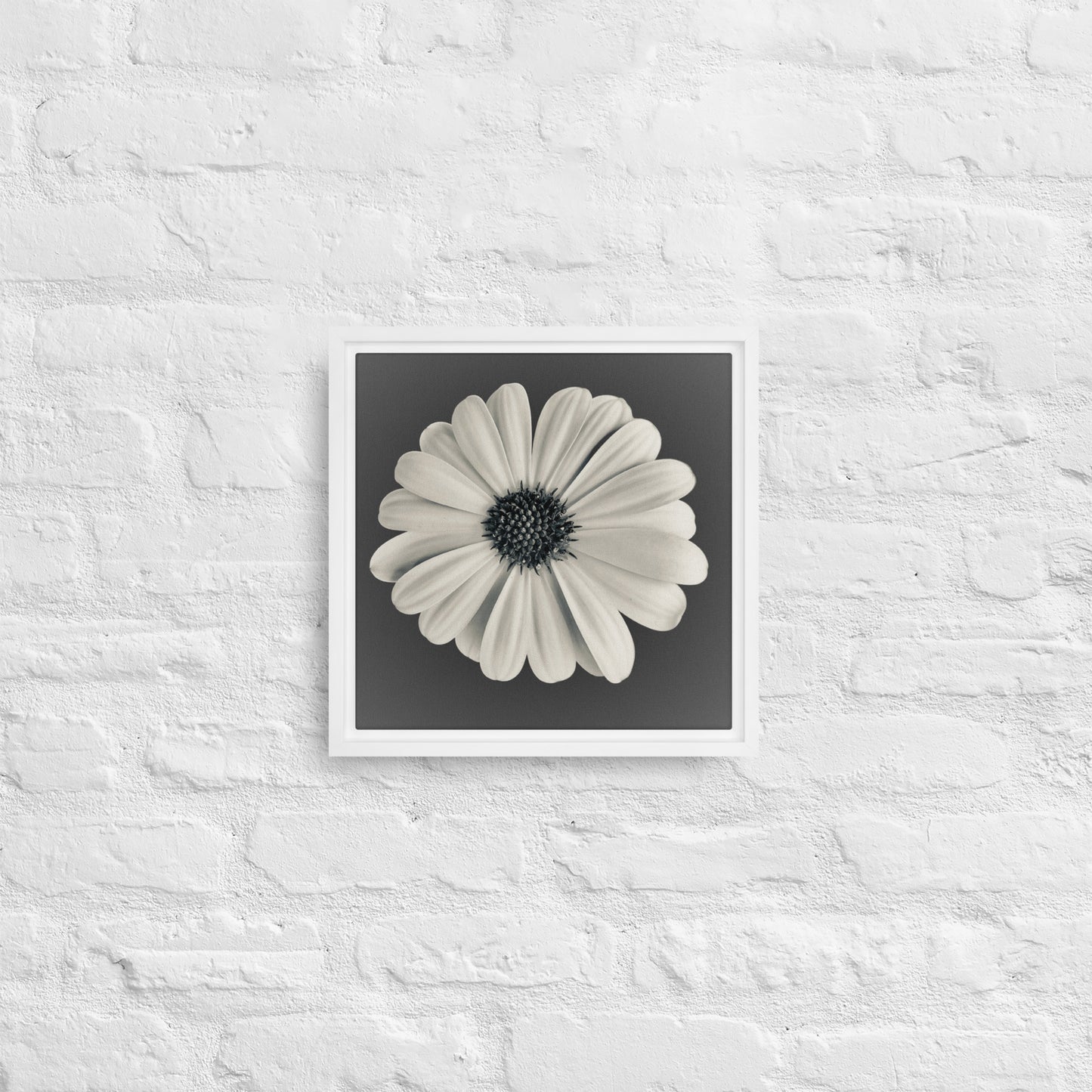 Loves Me Loves Me Not by Enrique Aldana | Framed canvas