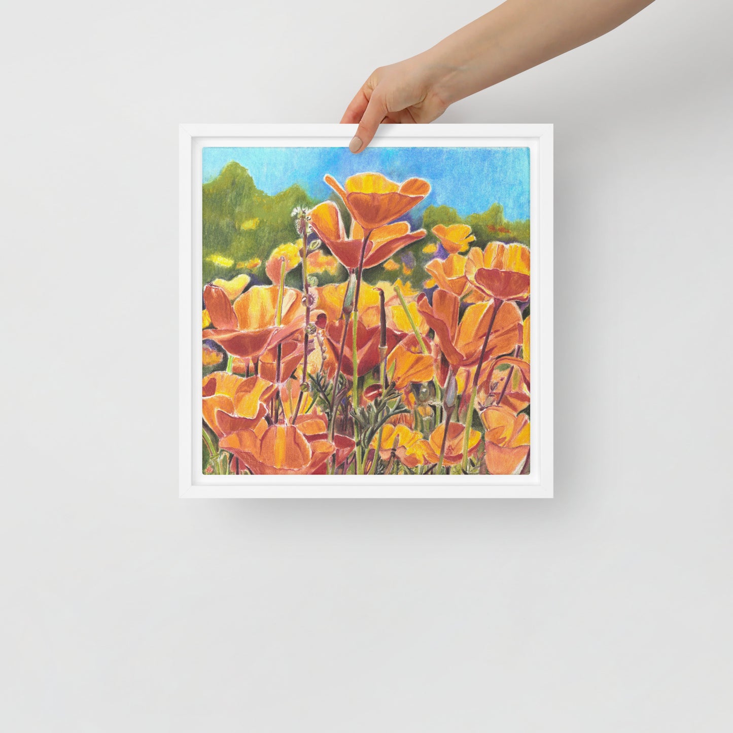 Roadside Poppies by Amber Pierson | Framed canvas