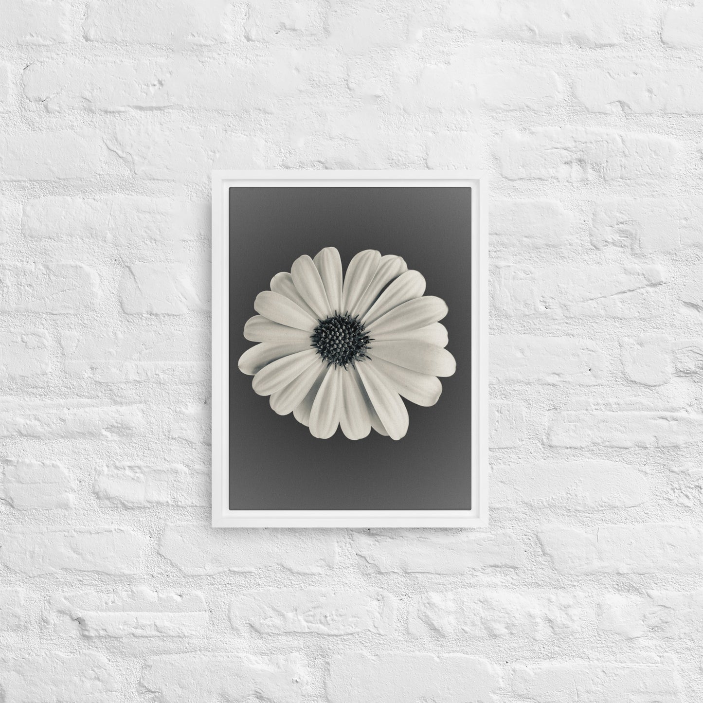 Loves Me Loves Me Not by Enrique Aldana | Framed canvas