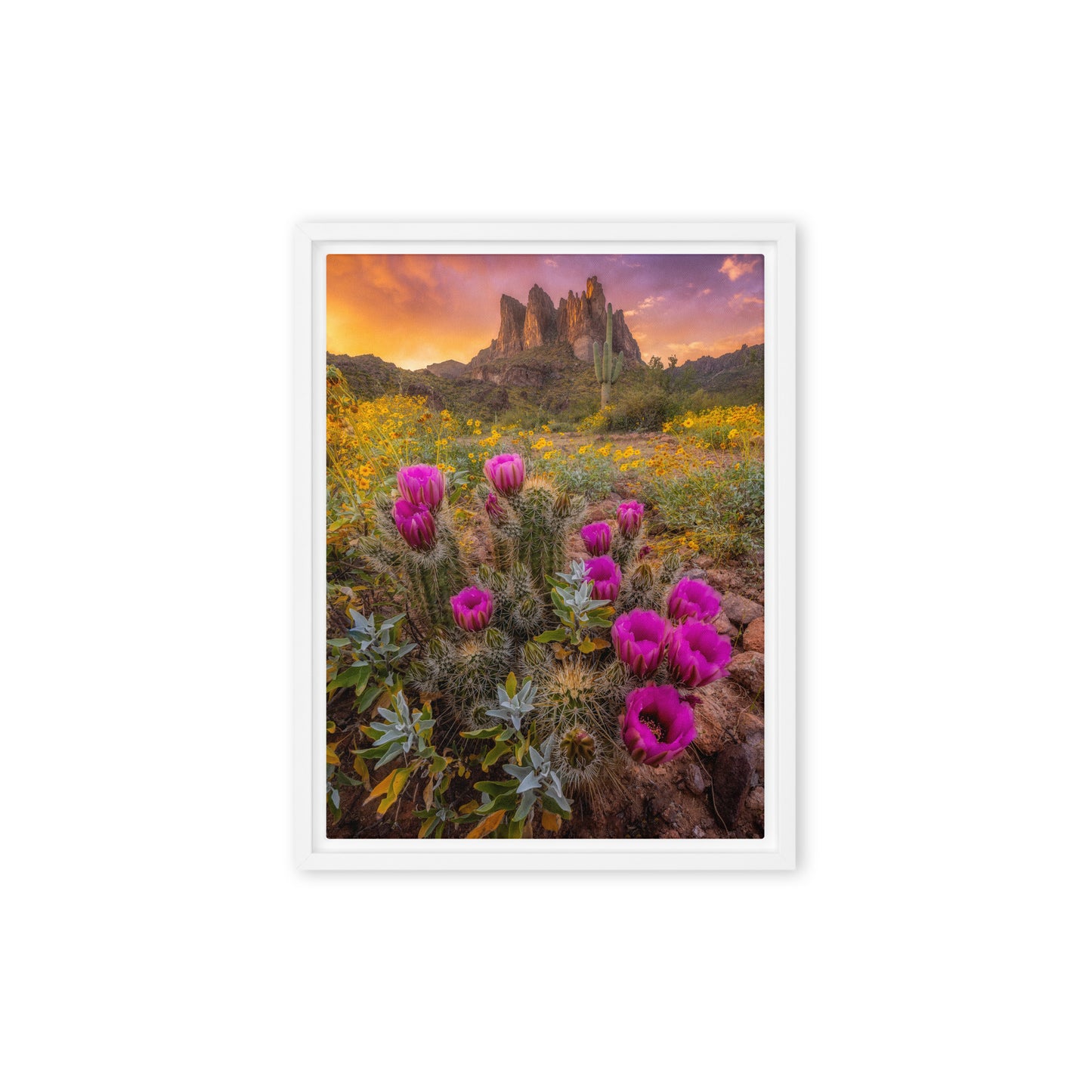 Sonoran Bloom by Sean Parker Photography | Framed canvas