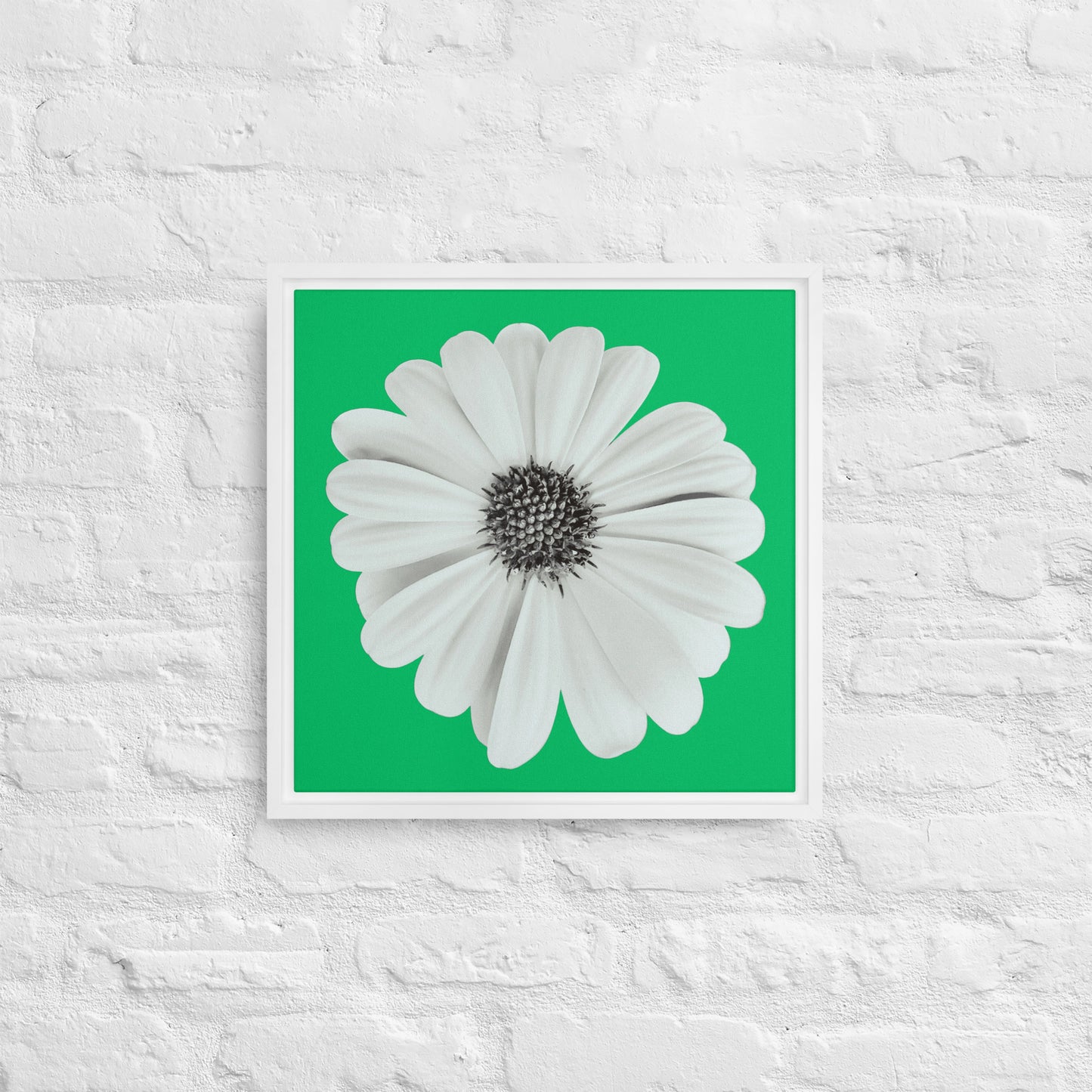 Loves Me Loves Me Not by Enrique Aldana | Framed canvas