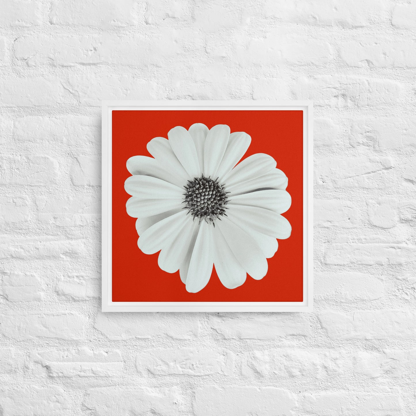 Loves Me Loves Me Not by Enrique Aldana | Framed canvas