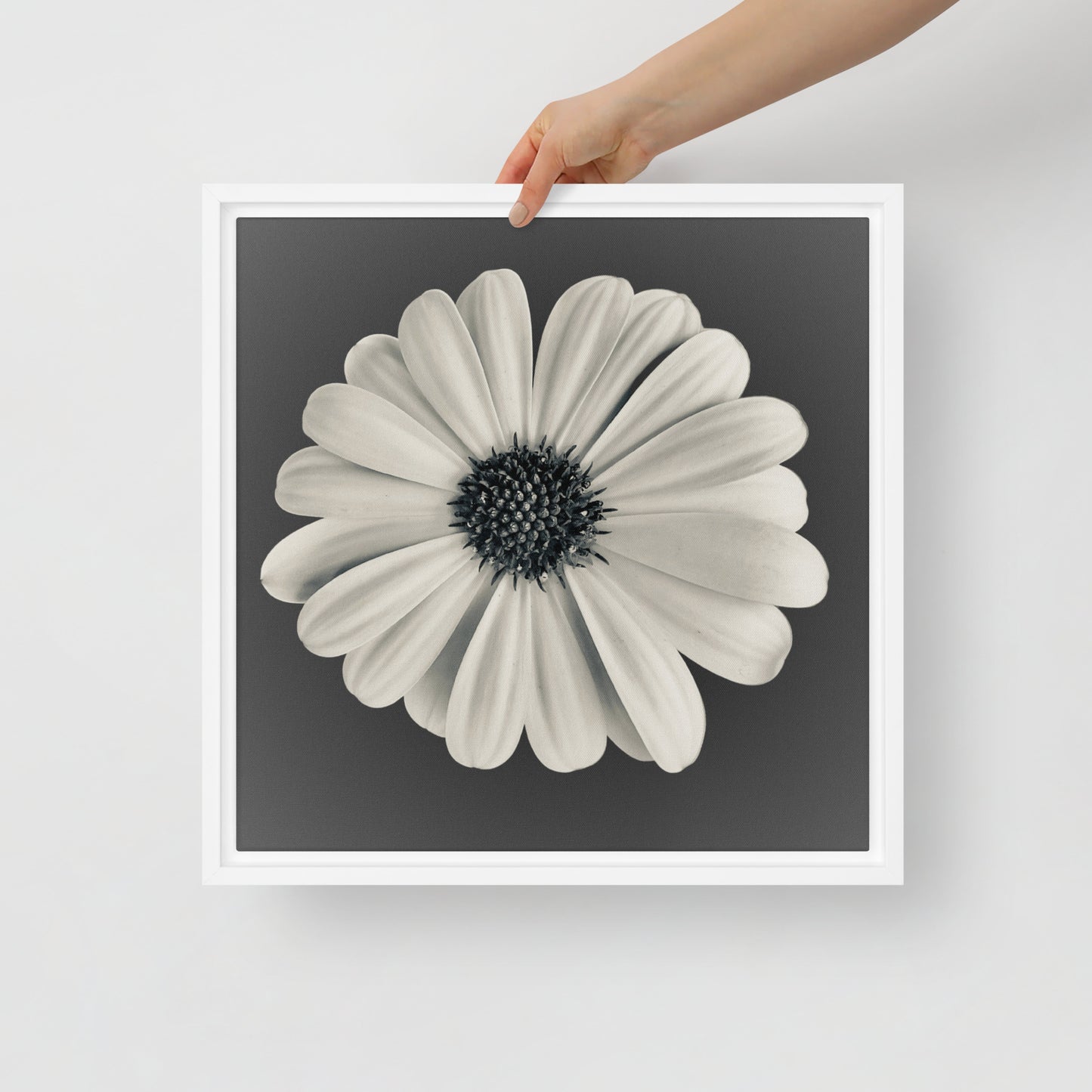 Loves Me Loves Me Not by Enrique Aldana | Framed canvas