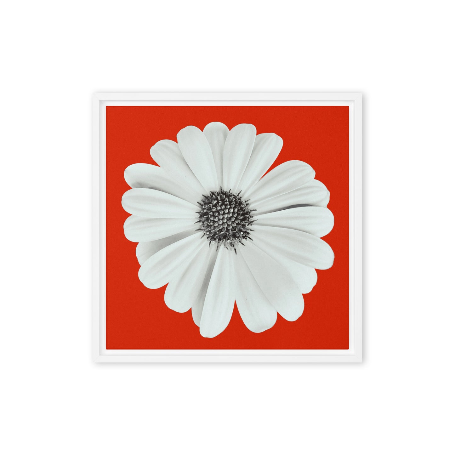 Loves Me Loves Me Not by Enrique Aldana | Framed canvas