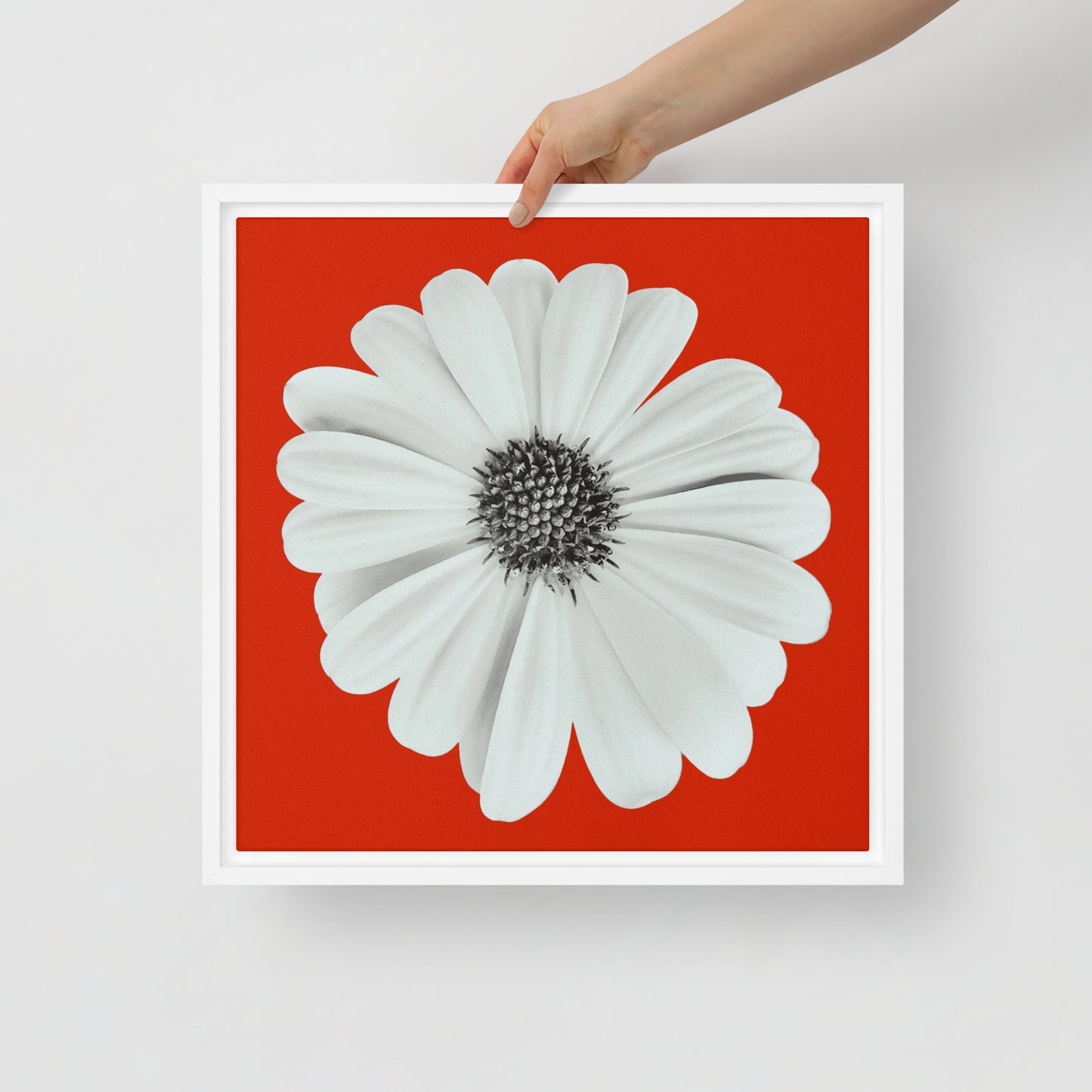 Loves Me Loves Me Not by Enrique Aldana | Framed canvas