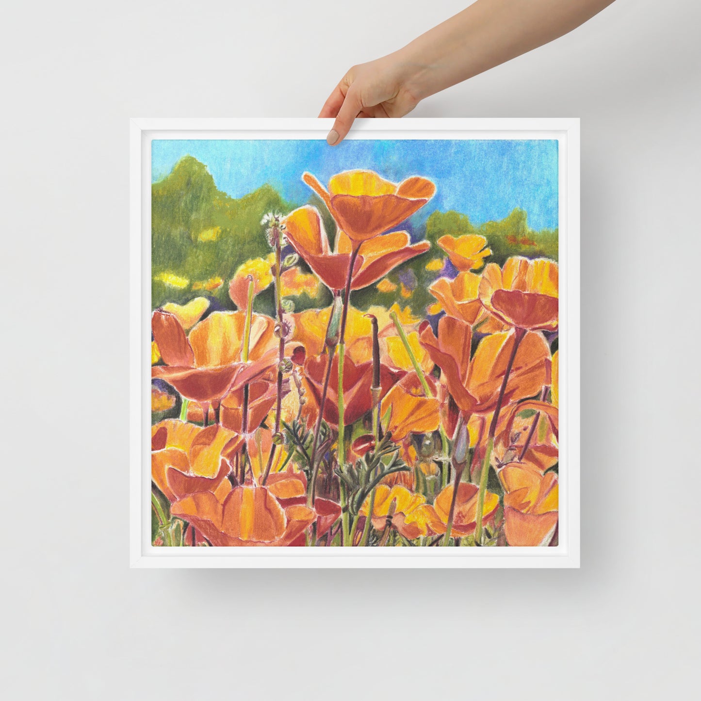 Roadside Poppies by Amber Pierson | Framed canvas