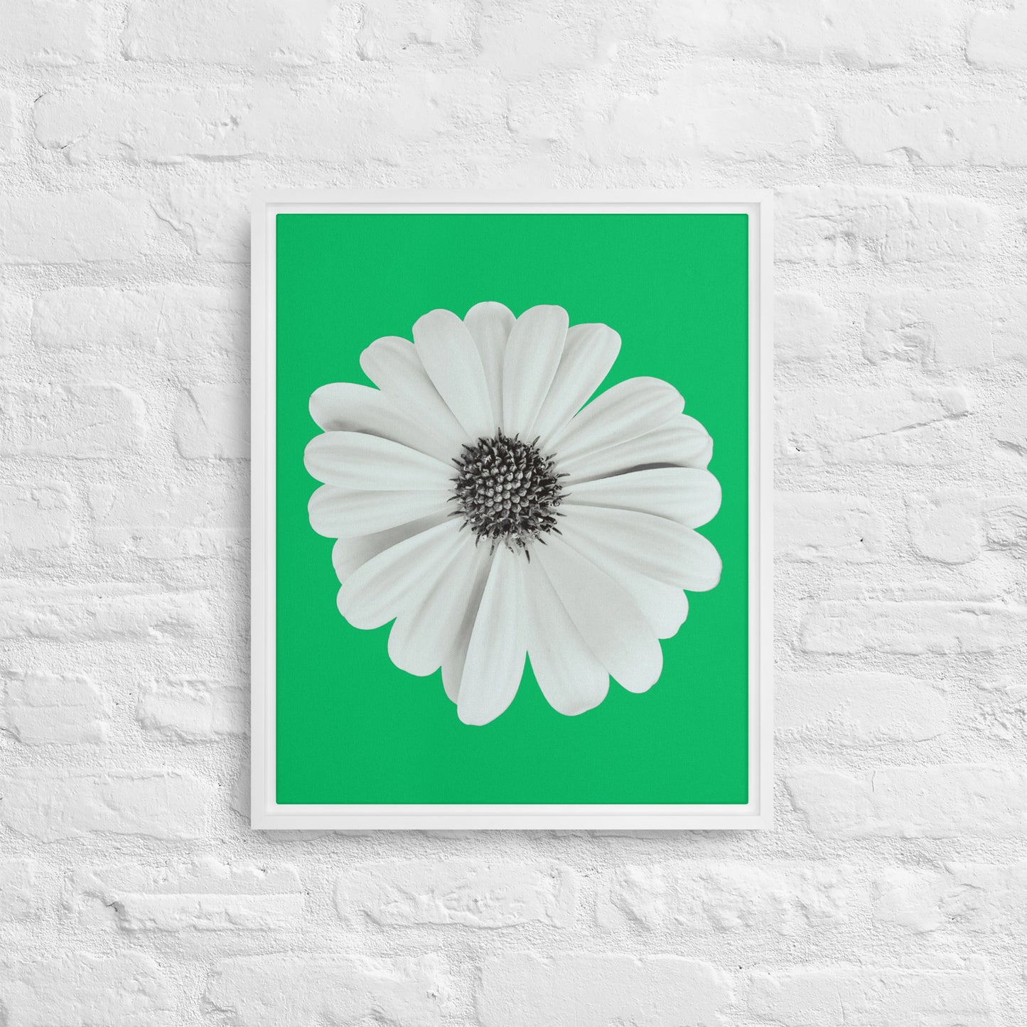 Loves Me Loves Me Not by Enrique Aldana | Framed canvas