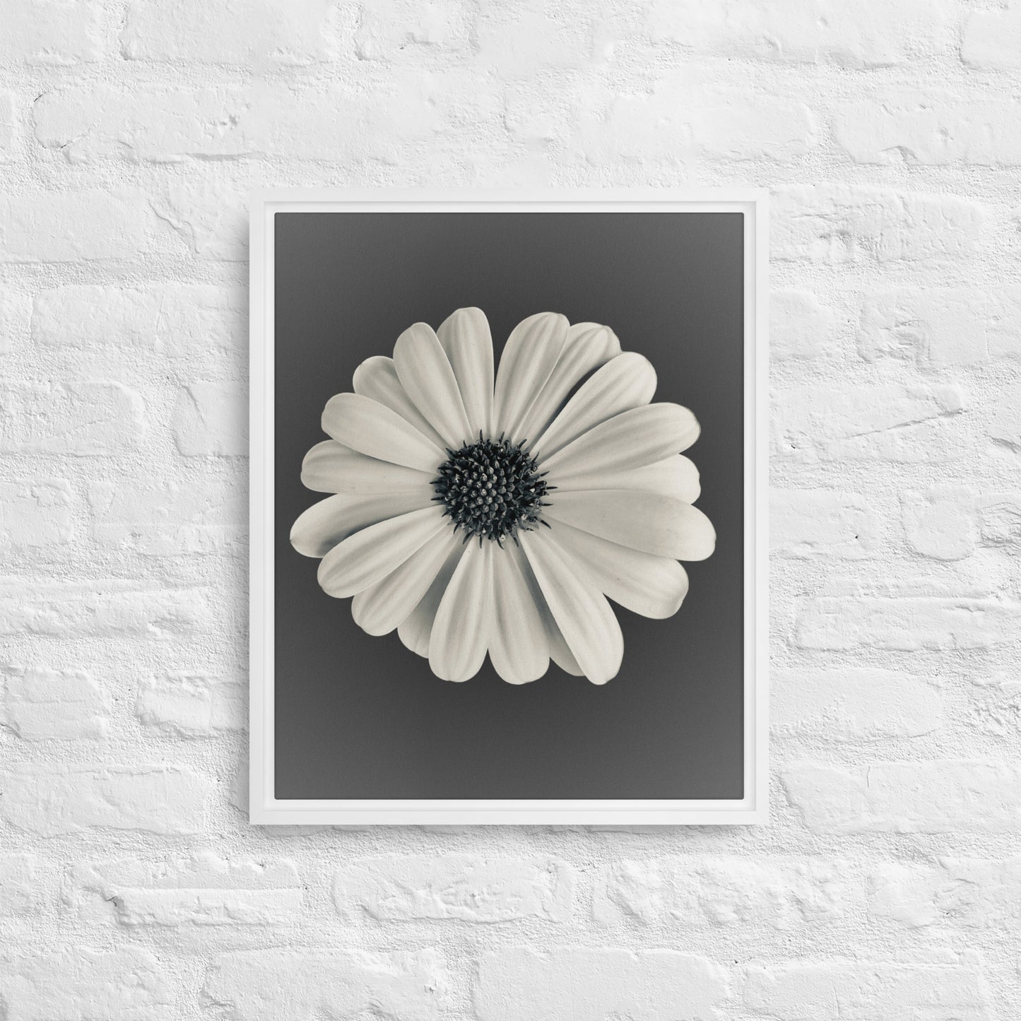 Loves Me Loves Me Not by Enrique Aldana | Framed canvas