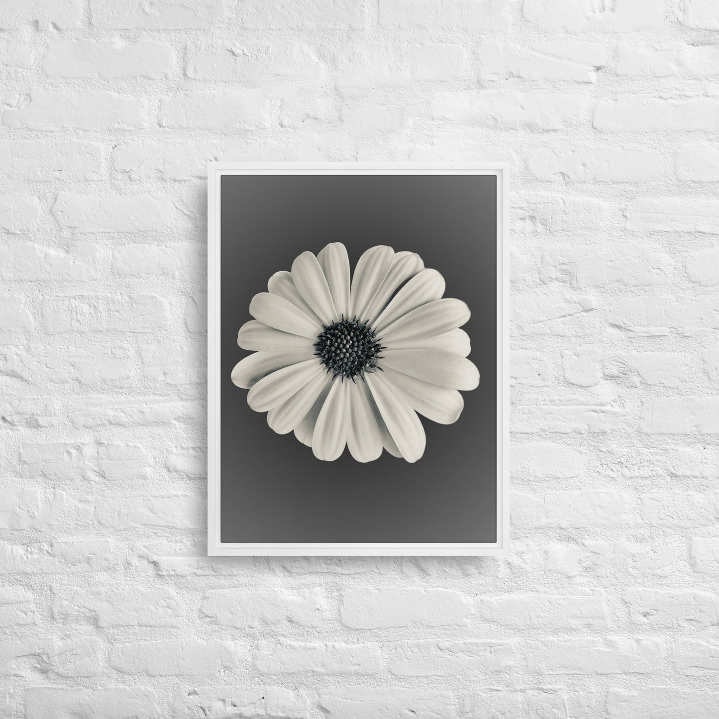 Loves Me Loves Me Not by Enrique Aldana | Framed canvas