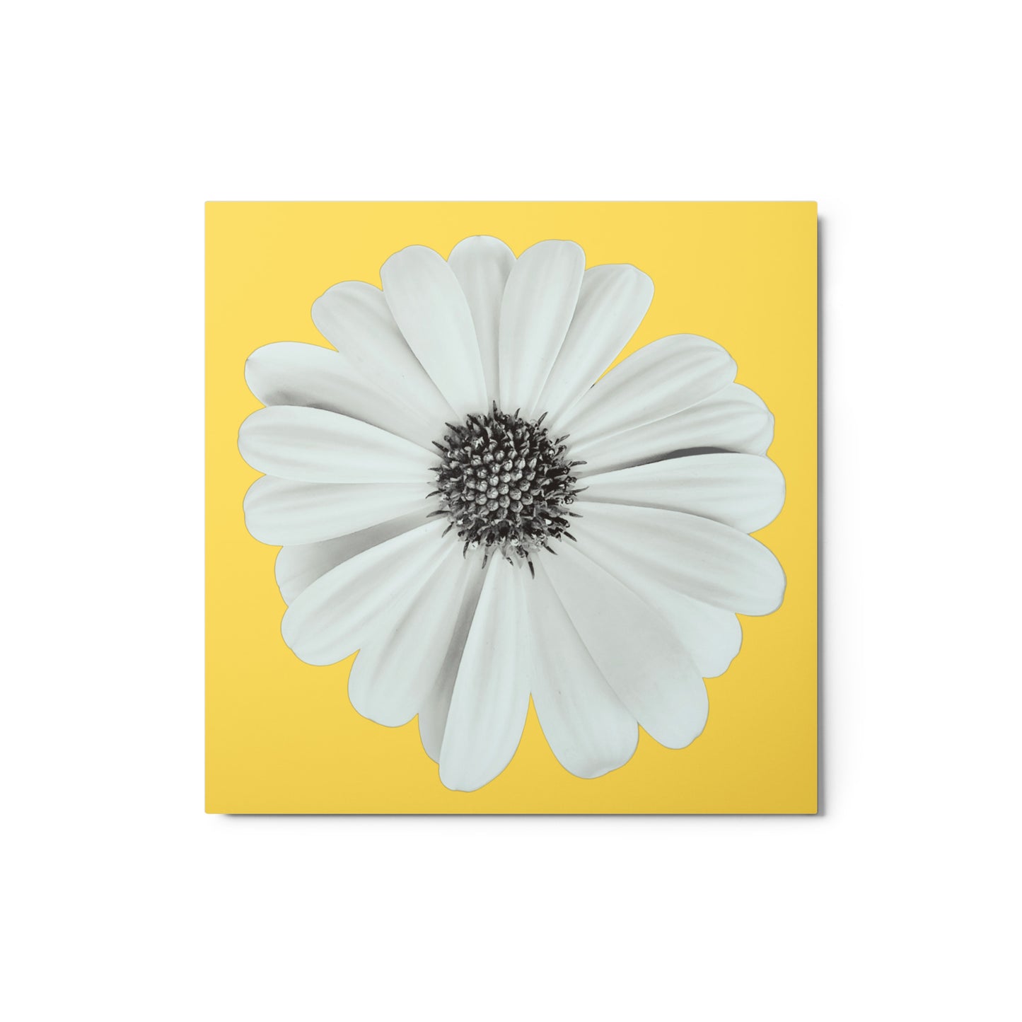 Loves Me Loves Me Not by Enrique Aldana - Yellow | Metal prints