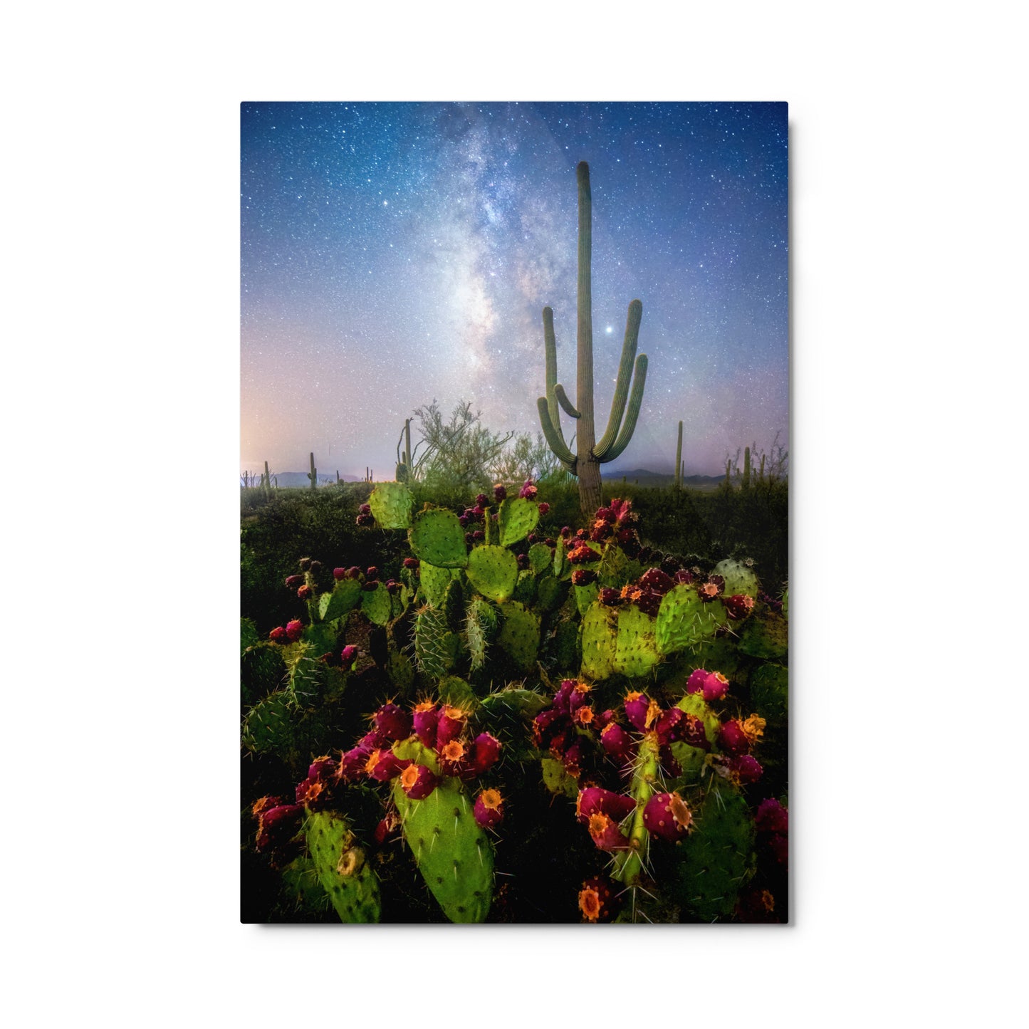 Milkyway Prickly Pear by Sean Parker Photography | Metal prints