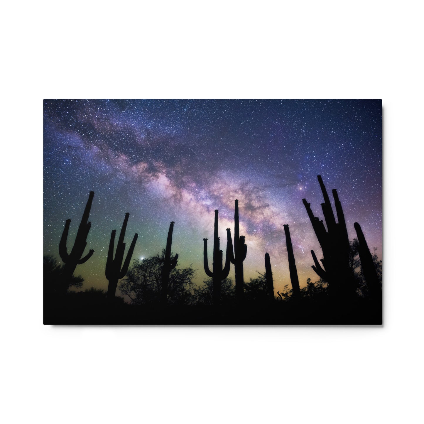 Saguaro Starlight by Sean Parker Photography | Metal prints