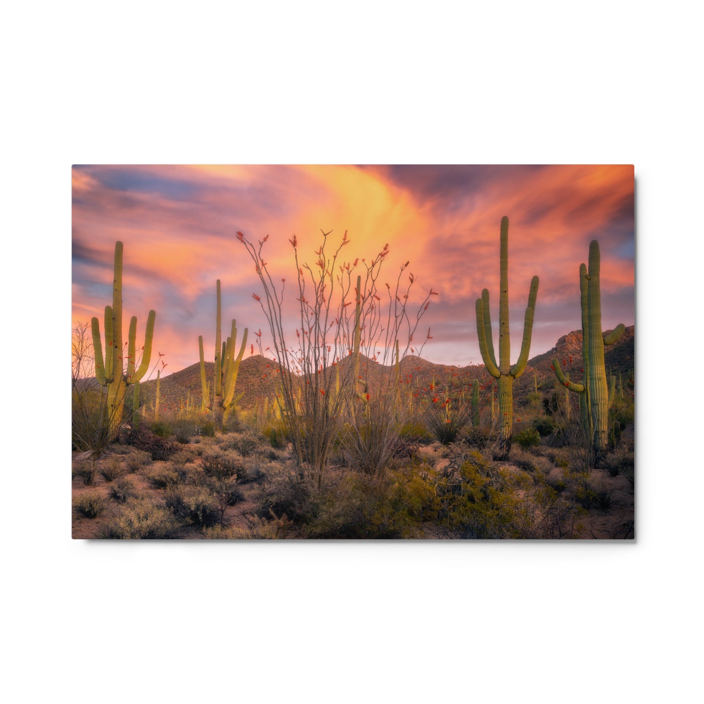 Tucson Mountain Park Sunset by Sean Parker Photography | Metal prints