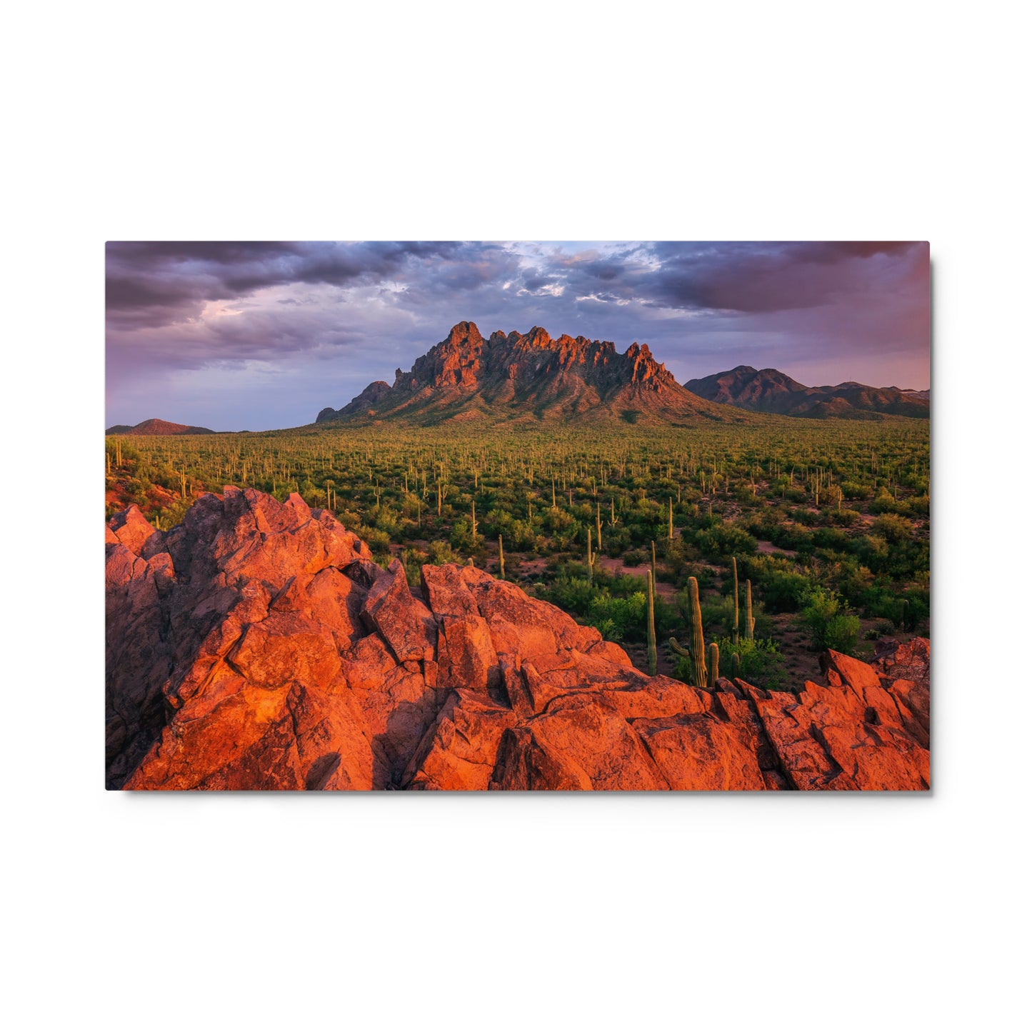 Ironwood National Monument by Sean Parker Photography | Metal prints