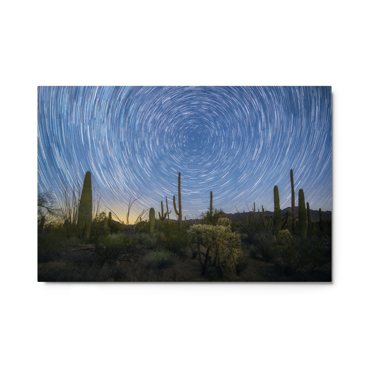 Sonoran Startails by Sean Parker Photography | Metal prints