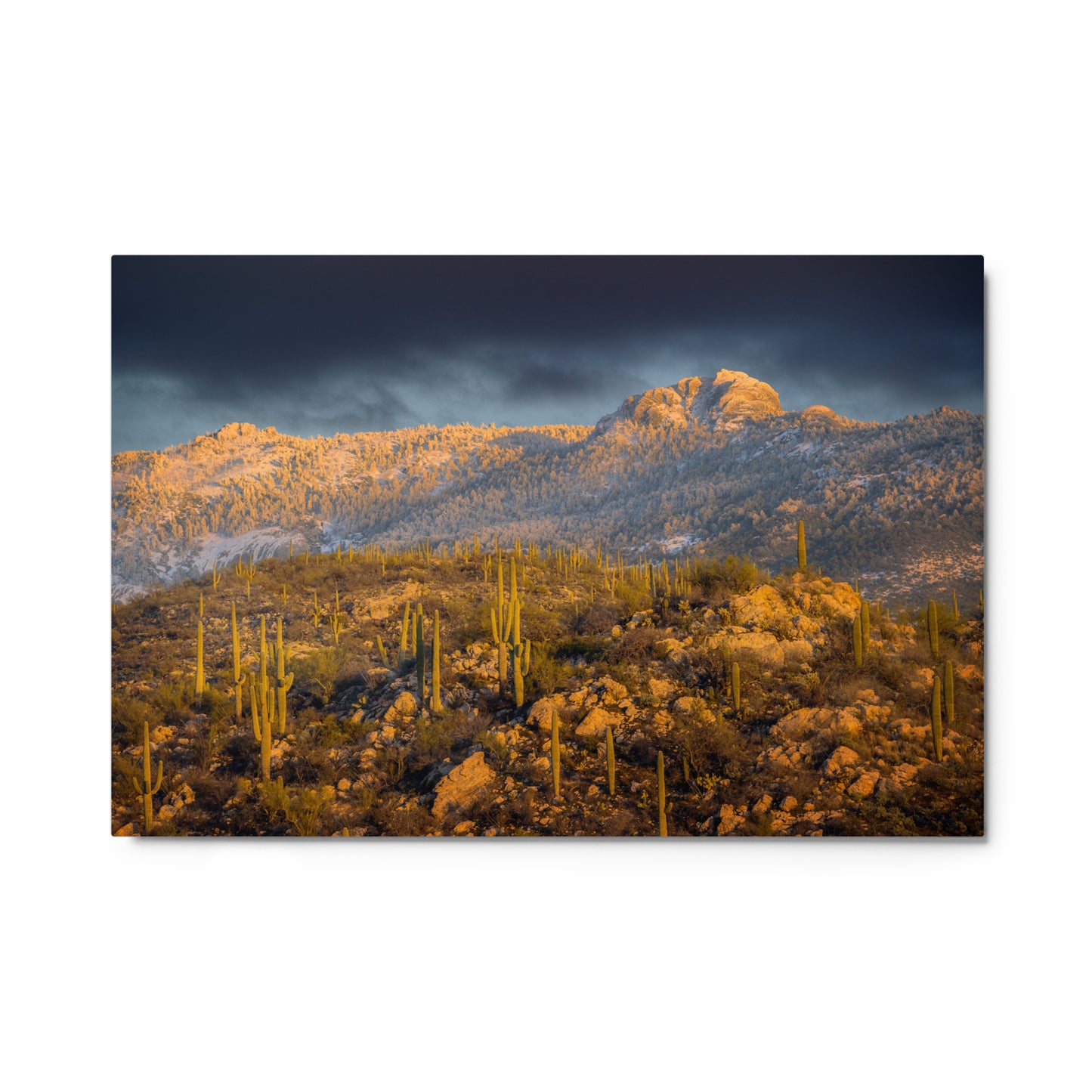 Rincon Mountain Snow by Sean Parker Photography | Metal prints