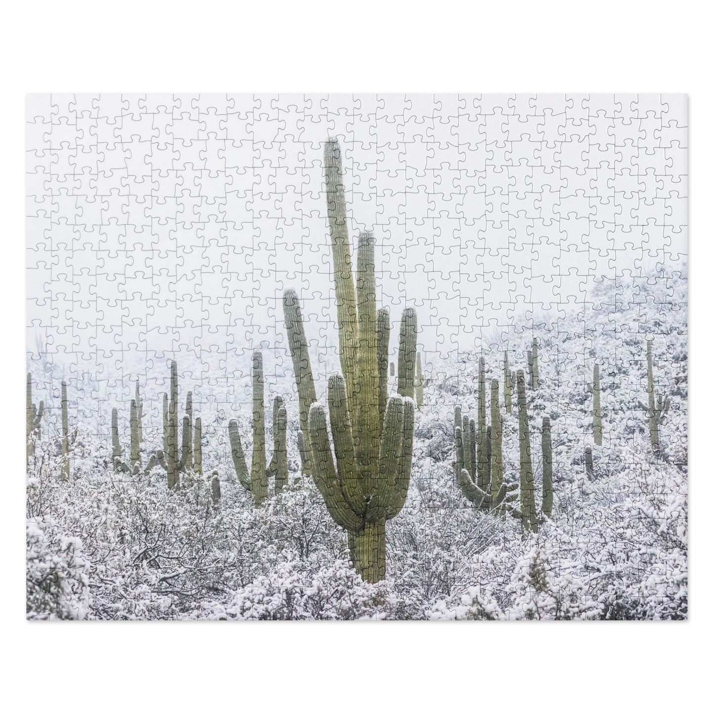 Saguaro Snowfall by Sean Parker Photography | Jigsaw puzzle