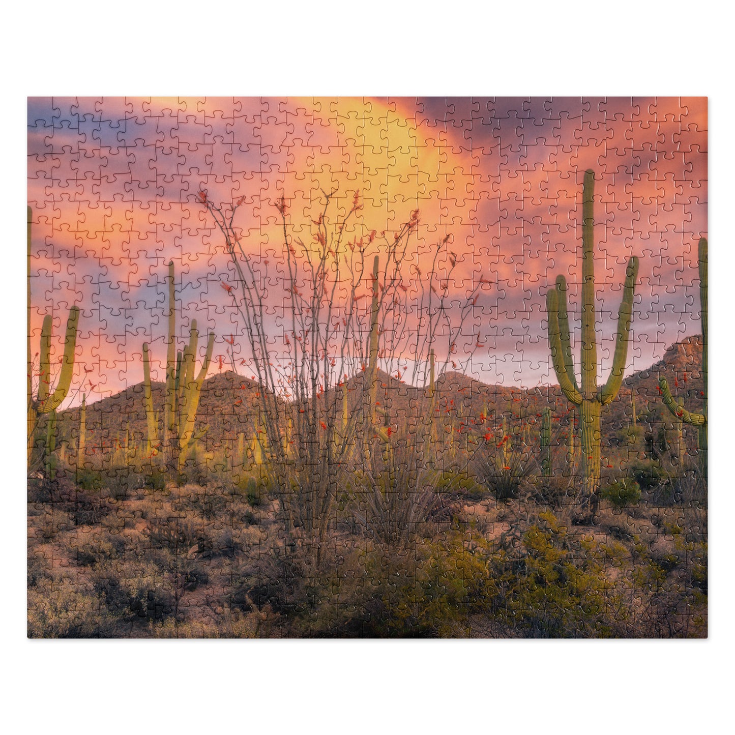 Tucson Mountain Park Sunset by Sean Parker Photography | Jigsaw puzzle