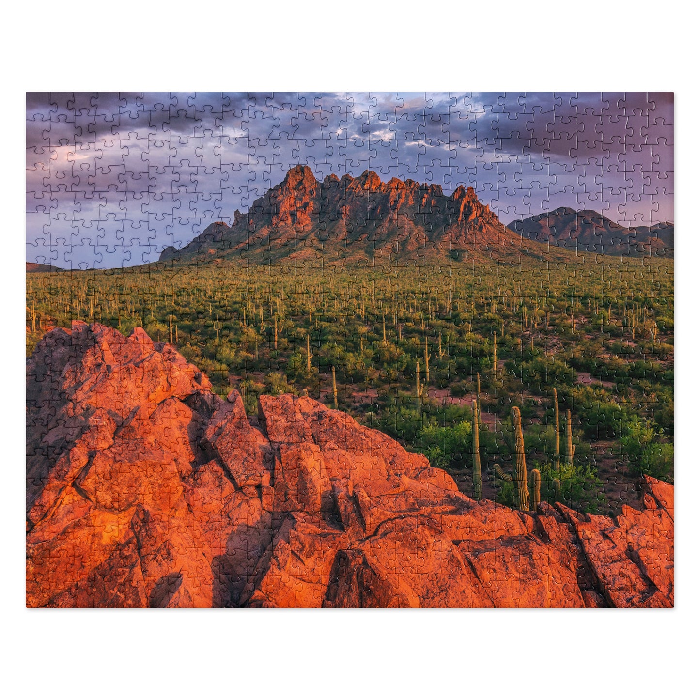 Ironwood National Monument by Sean Parker Photography | Jigsaw puzzle