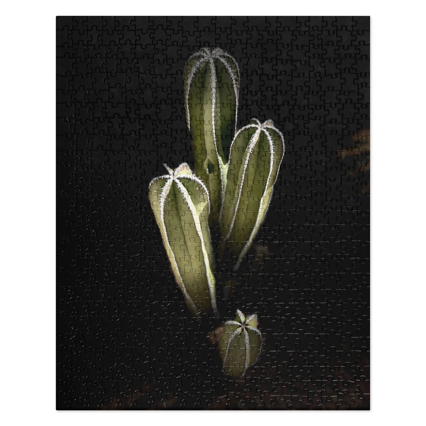 Saguaro Quad by Enrique Aldana Photography | Jigsaw puzzle