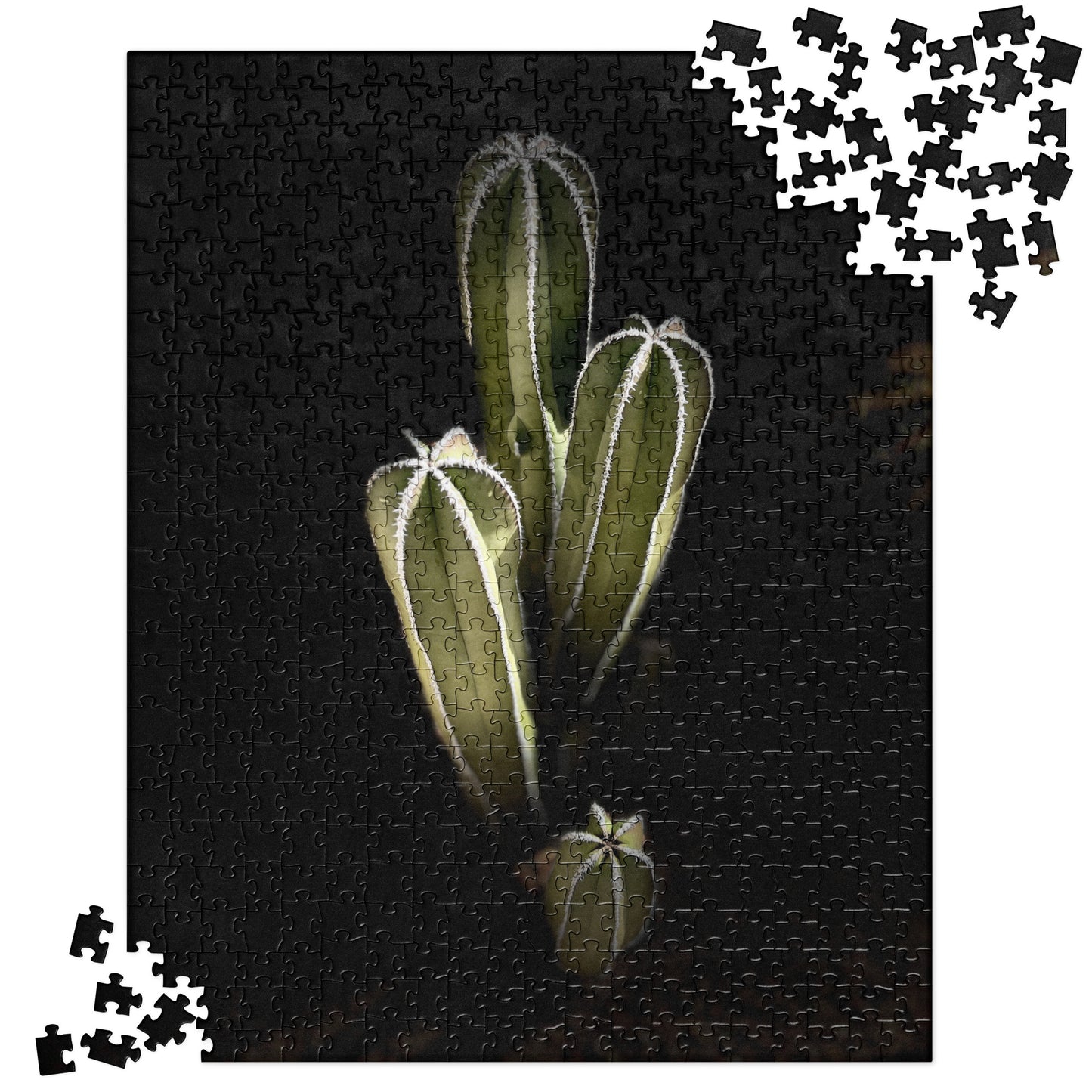 Saguaro Quad by Enrique Aldana Photography | Jigsaw puzzle